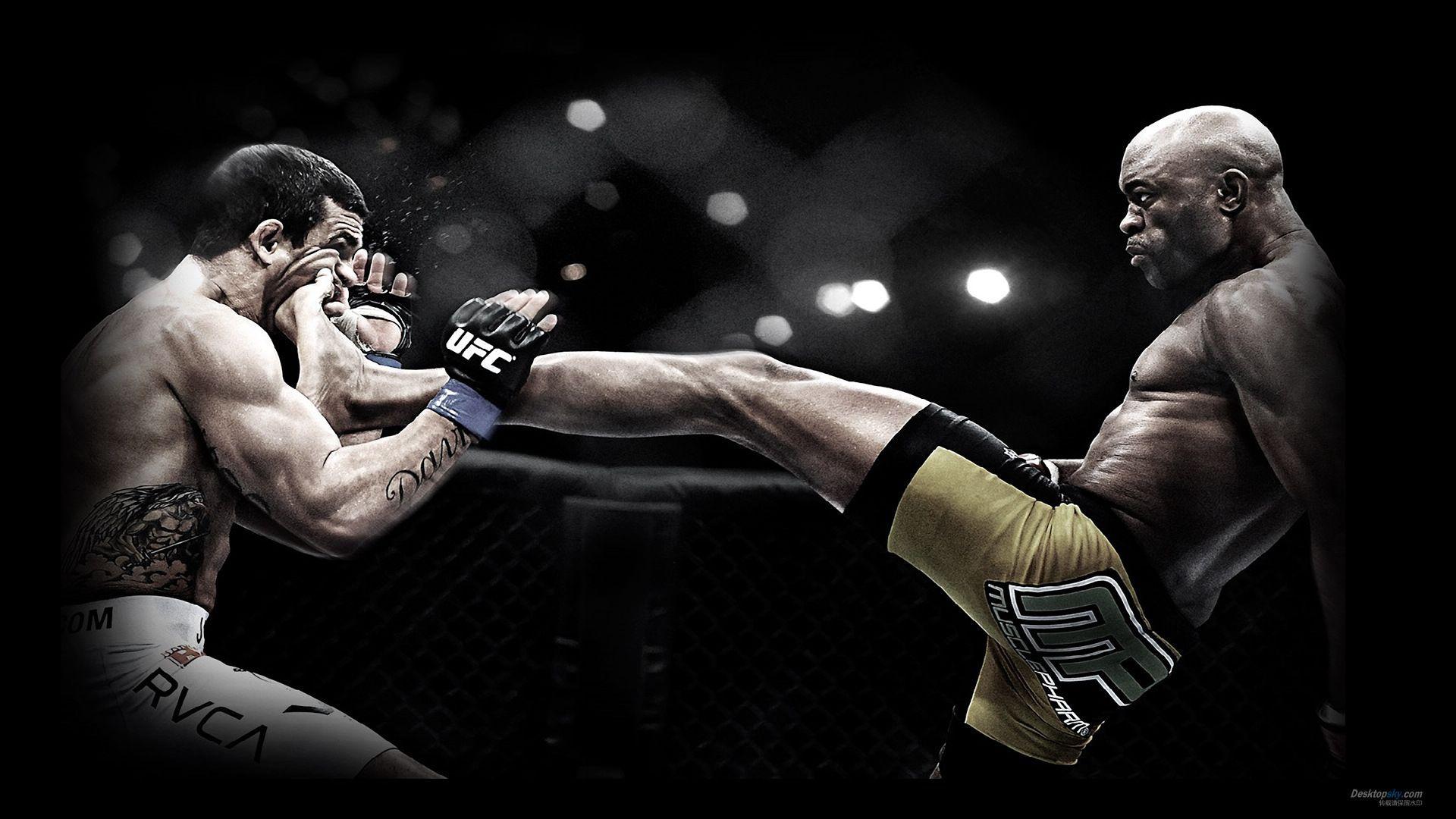 1920x1080 Mixed Martial Arts Wallpaper HD 04403