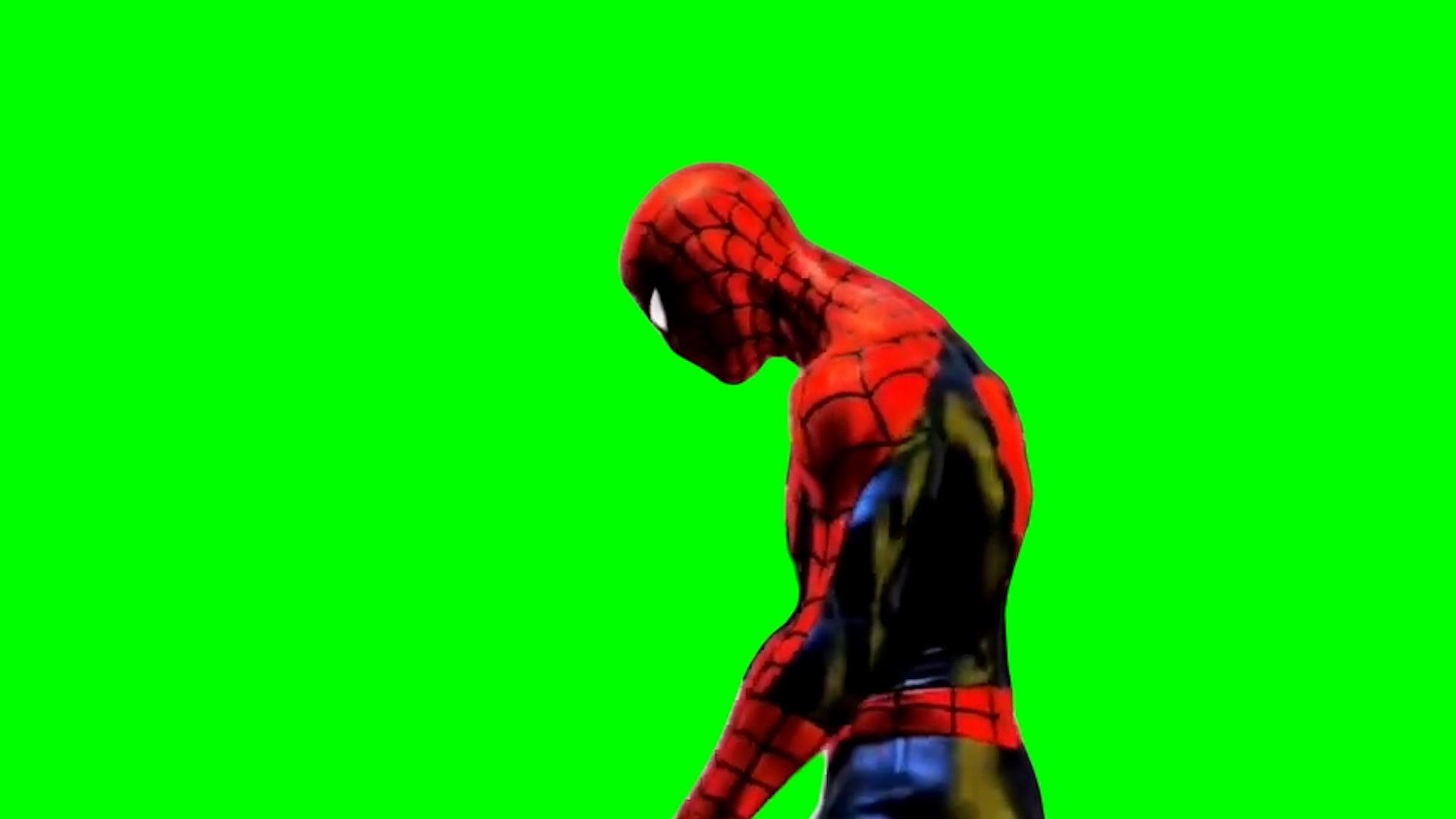 1920x1080 Sad Spider Man Meme (Green Screen)