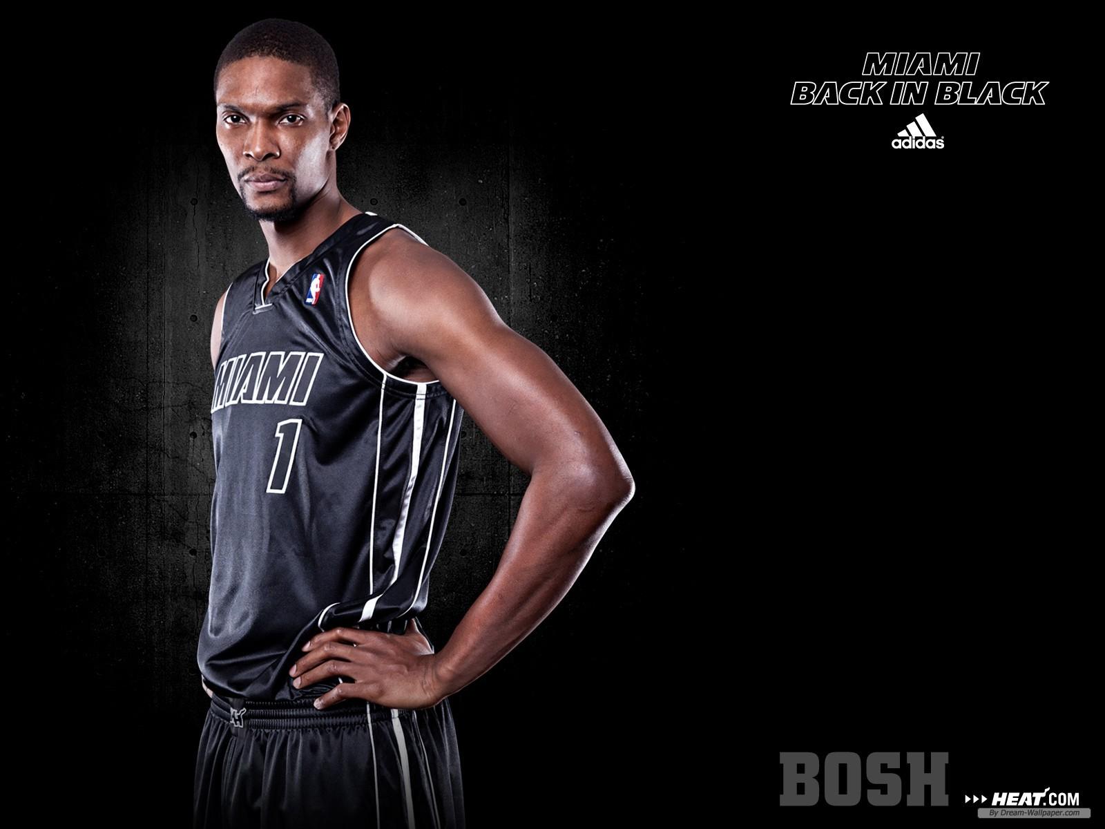 1600x1200 Chris Bosh HD Wallpaper and Background