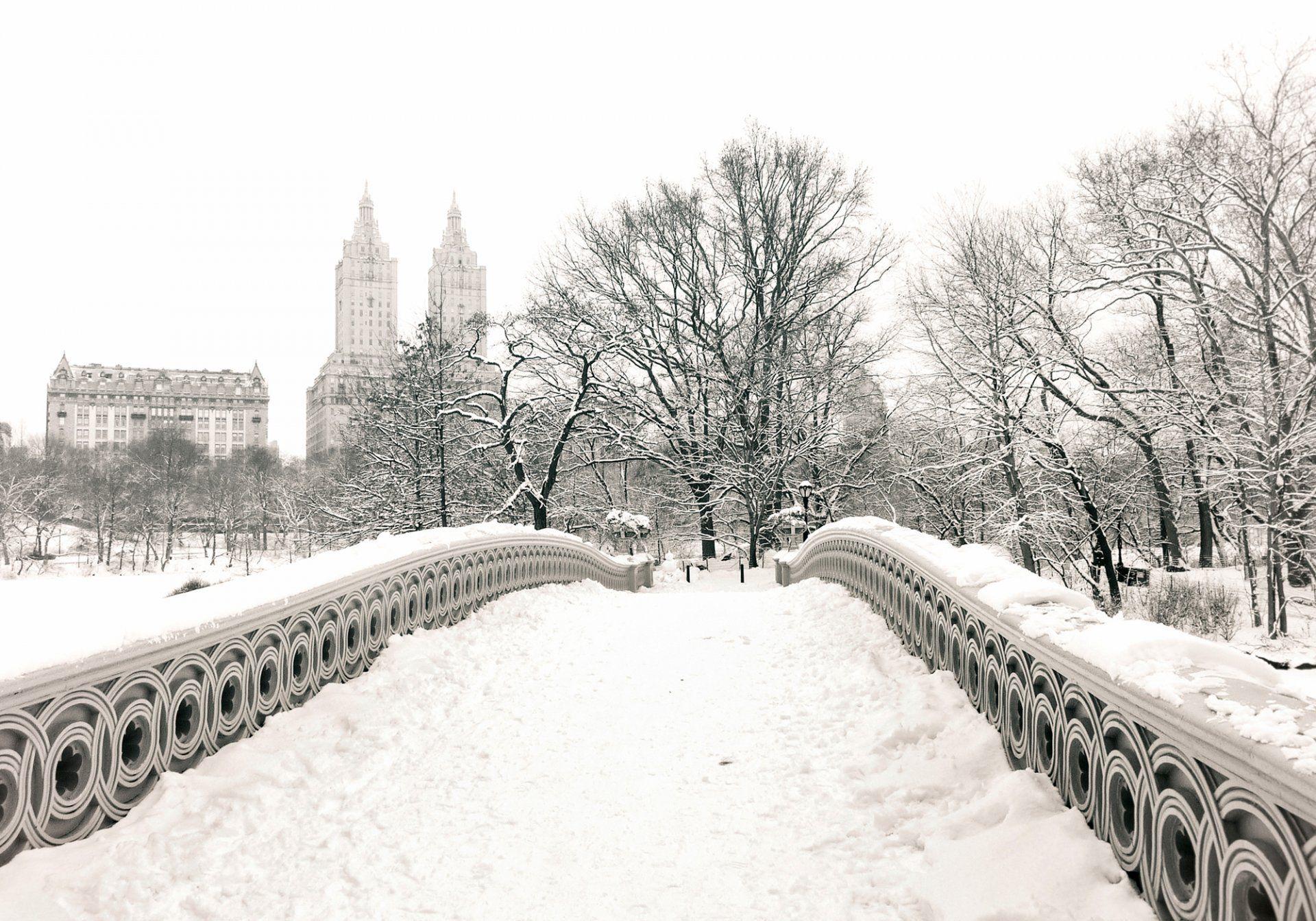 Winter in Central Park New York Wallpapers Top Free Winter in Central Park New York