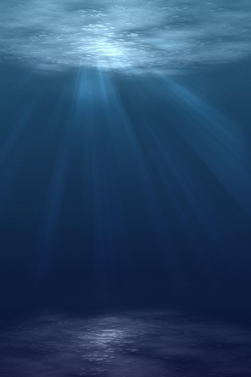 853x1280 Free Ocean Floor & Sea Image