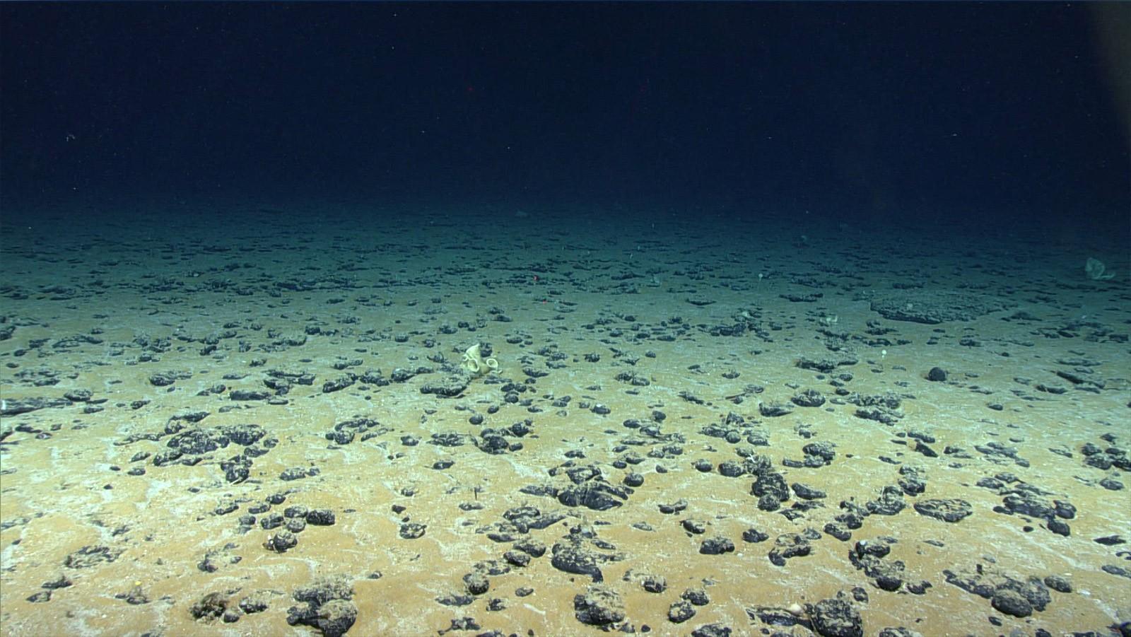 1600x901 The Deep Sea Is Slowing Warming