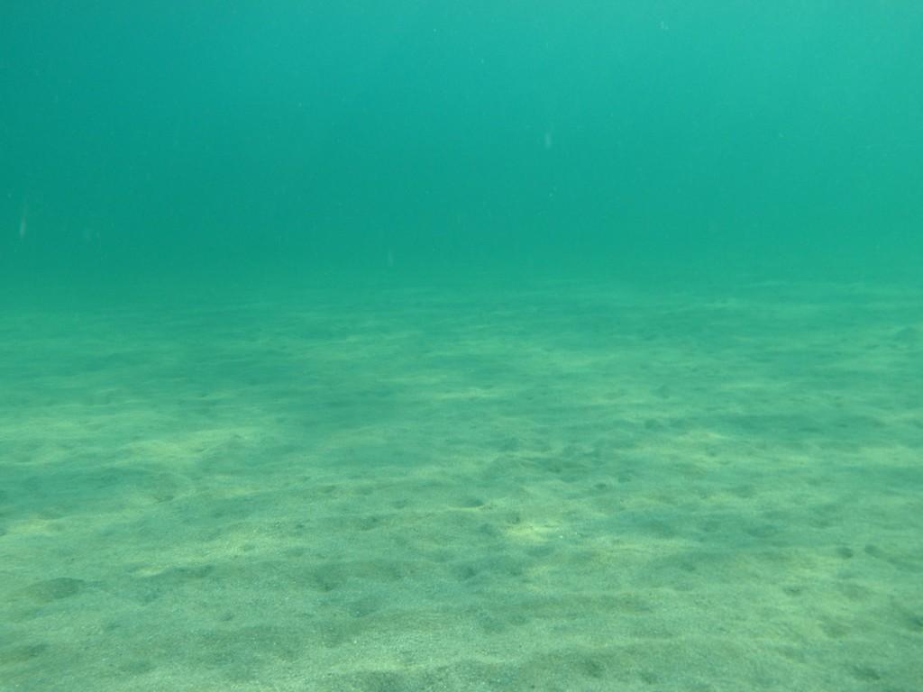 Sea Floor Wallpapers - Top Free Sea Floor Backgrounds - WallpaperAccess