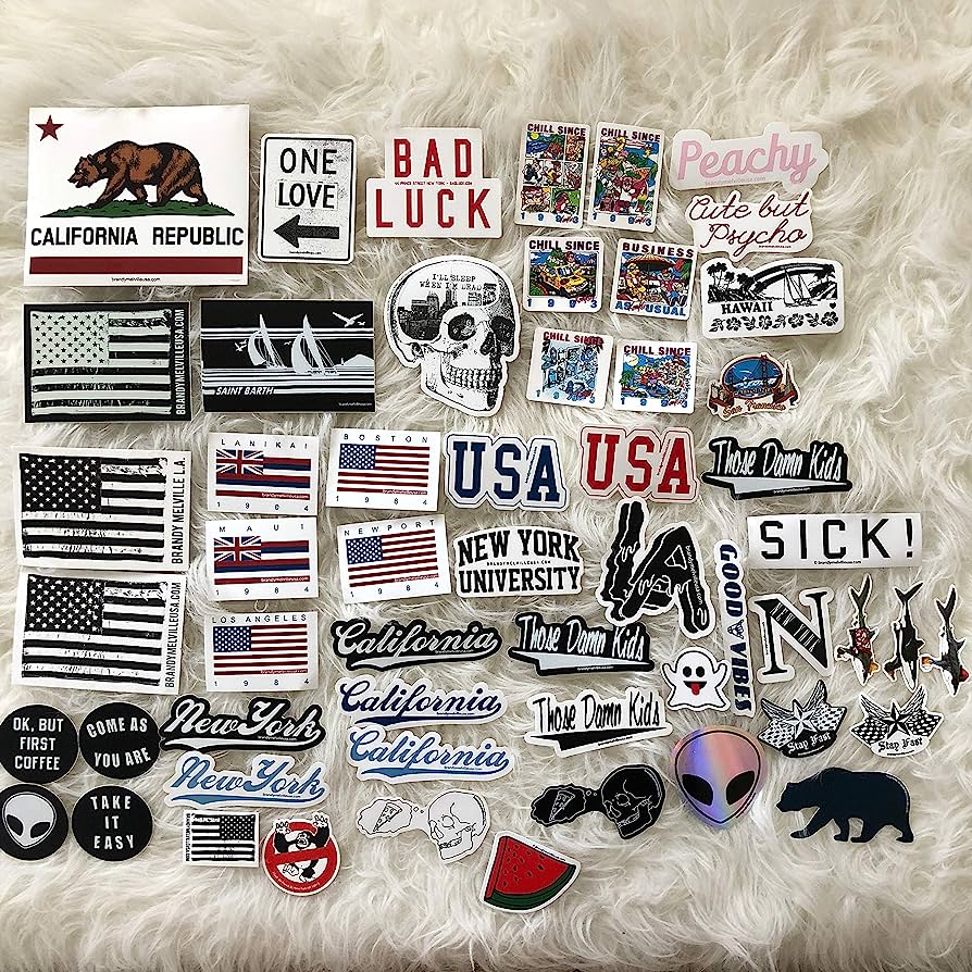 894x894 Brandy Melville Sticker Bundle Lot Collection of 145 Laptop Deco Vinyl Rare : Sports & Outdoors