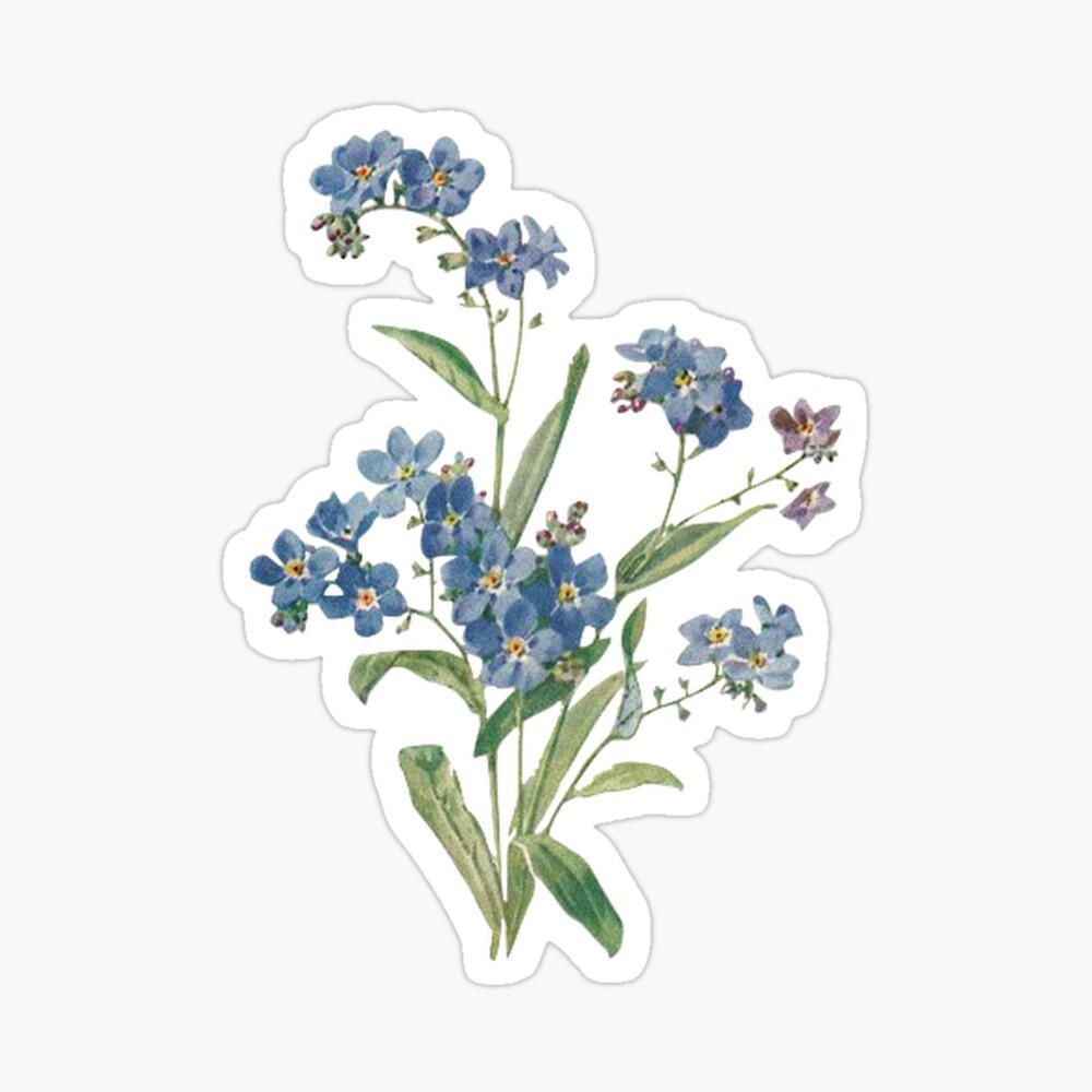 1000x1000 Forget Me Not Design Spiral Notebook