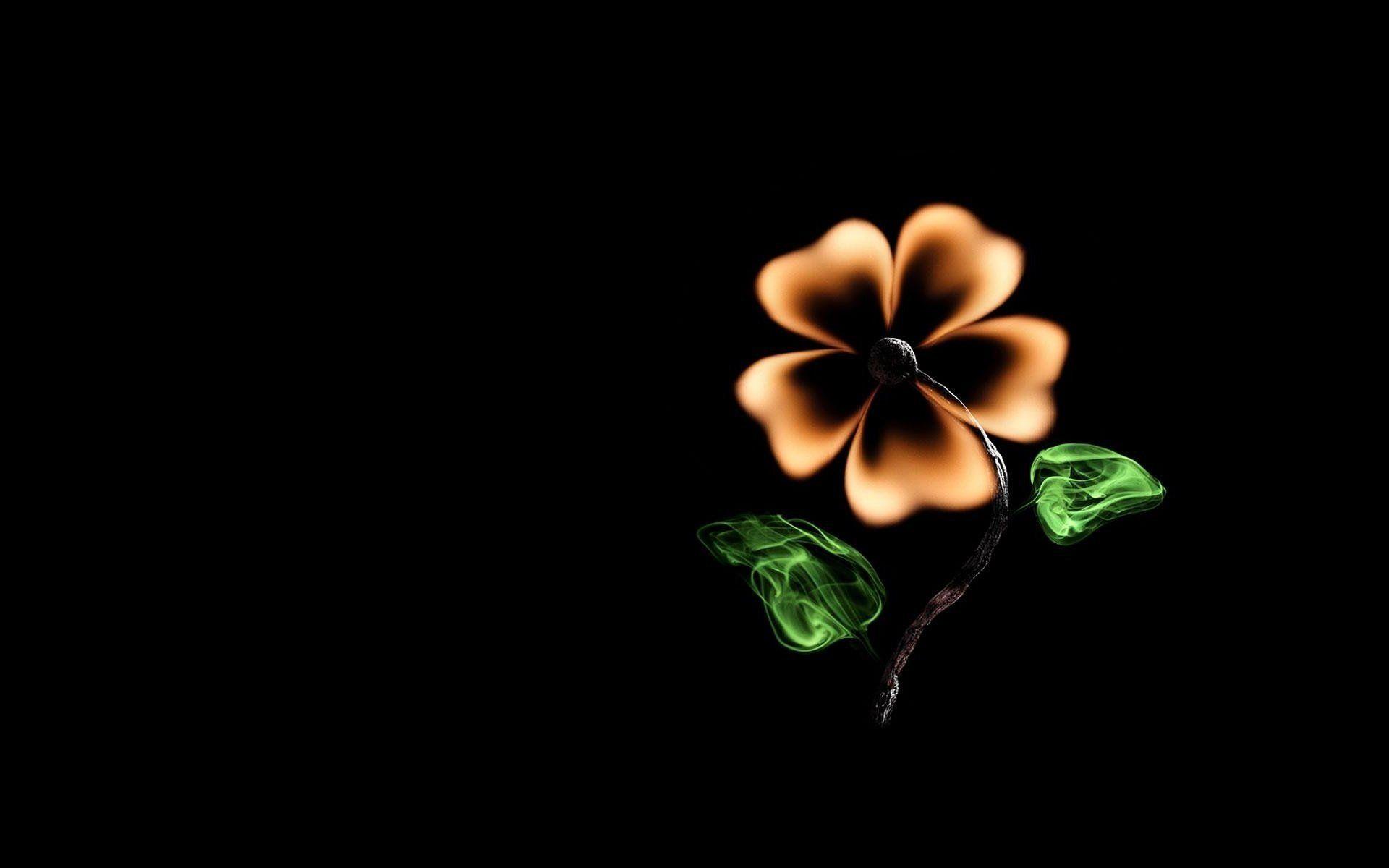 1920x1200 creative flower match fire minimalism black background HD wallpaper
