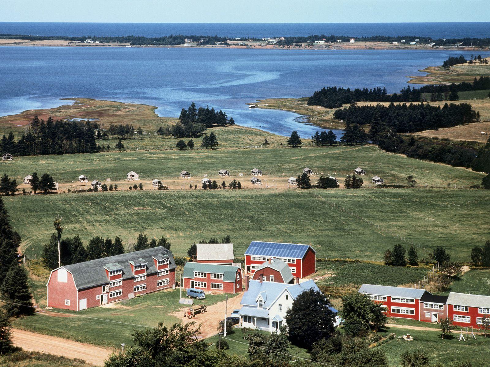 1600x1200 Free download Canada photo Covehead Bay Prince Edward Island Canada wallpaper [1600x1200] for your Desktop, Mobile & Tablet. Explore Prince Edward Island Wallpaper. Edward Norton Wallpaper, Edward Cullen Wallpaper