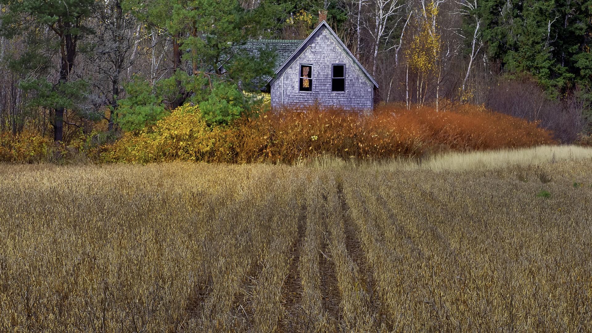 1920x1080 Canada islands Prince Edward Island wallpaperx1080