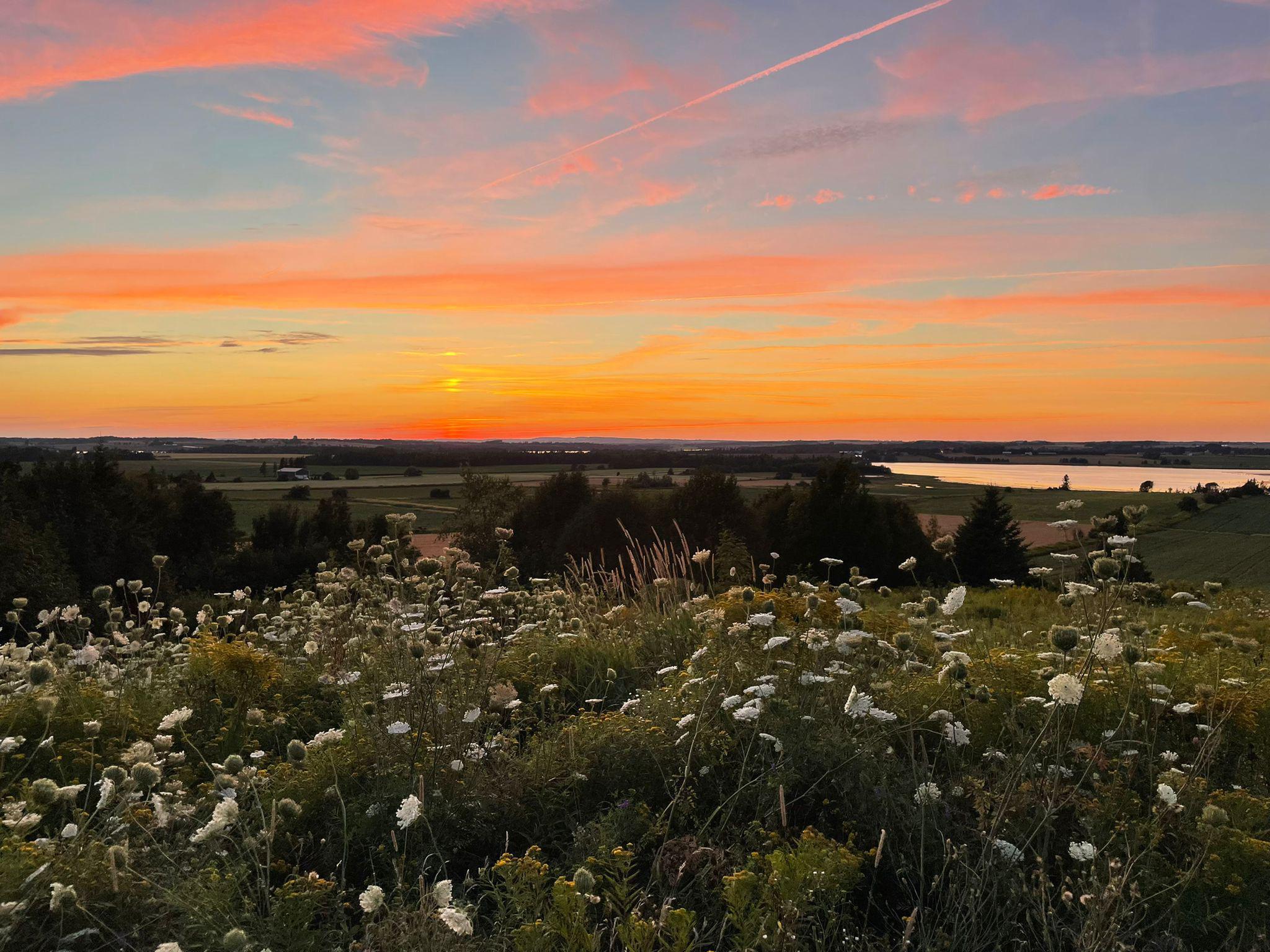 2048x1536 OC] Prince Edward Island, Canada [2048x1536]