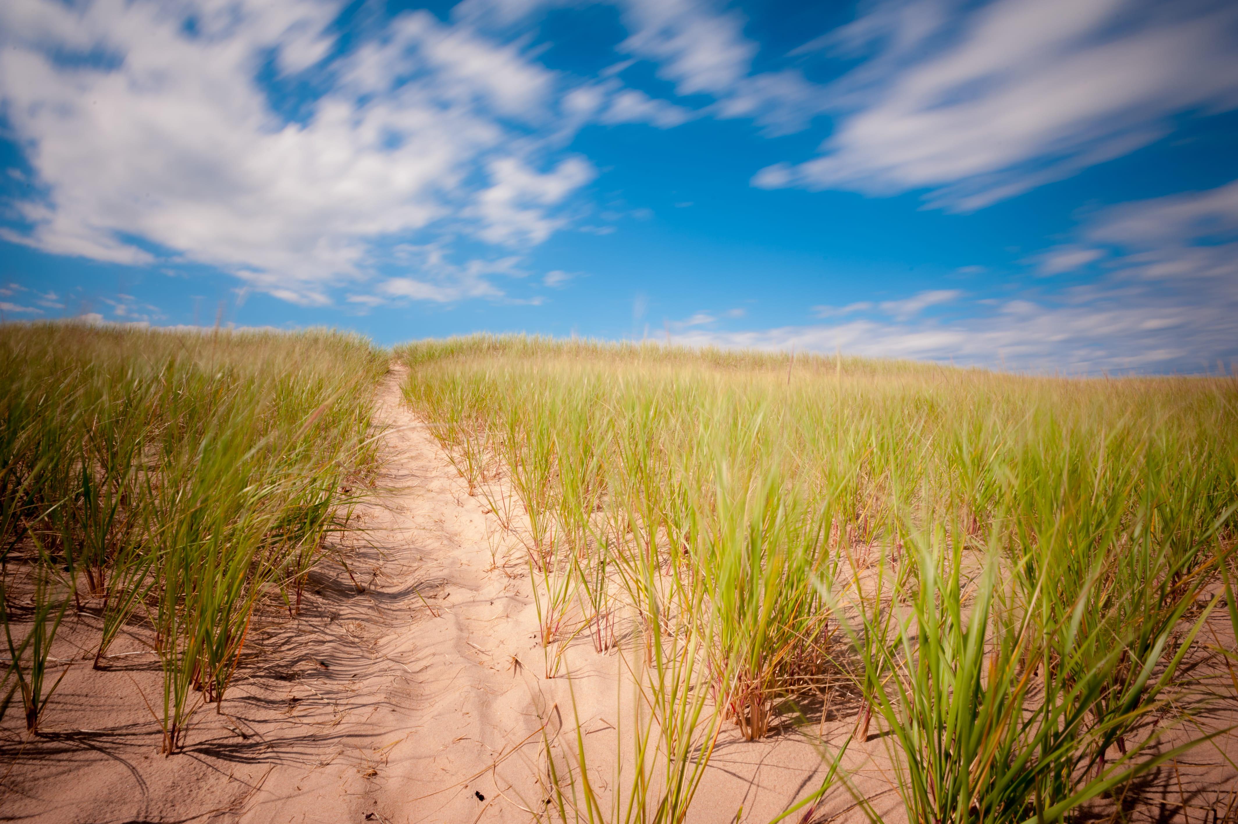 4256x2832 prince edward island 1080P, 2k, 4k Full HD Wallpaper, Background Free Download