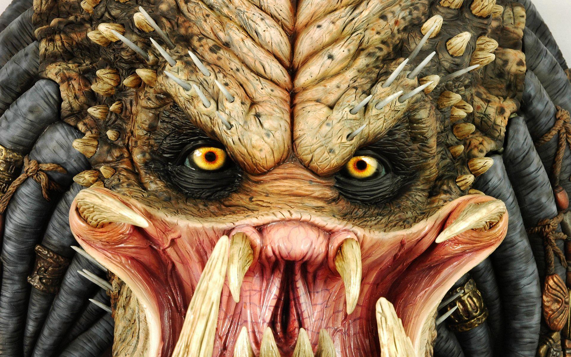 1920x1200 Free download Ugly Wallpaper Top Free Ugly Background [1920x1200] for your Desktop, Mobile & Tablet. Explore Ugly Background. Ugly Dog Wallpaper, Ugly Wallpaper, Ugly Animal Wallpaper