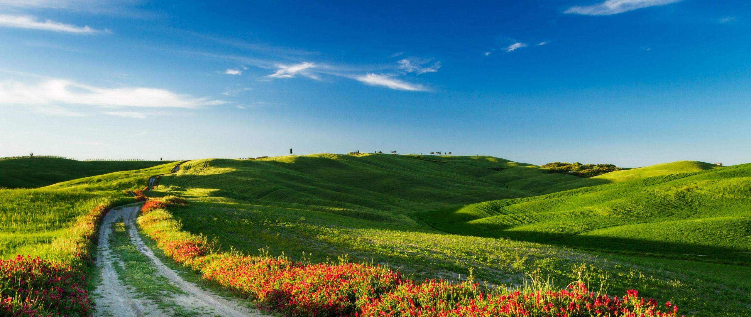 2560x1080 Download Tuscany, 4k, HD wallpaper, Italy, Meadows, road