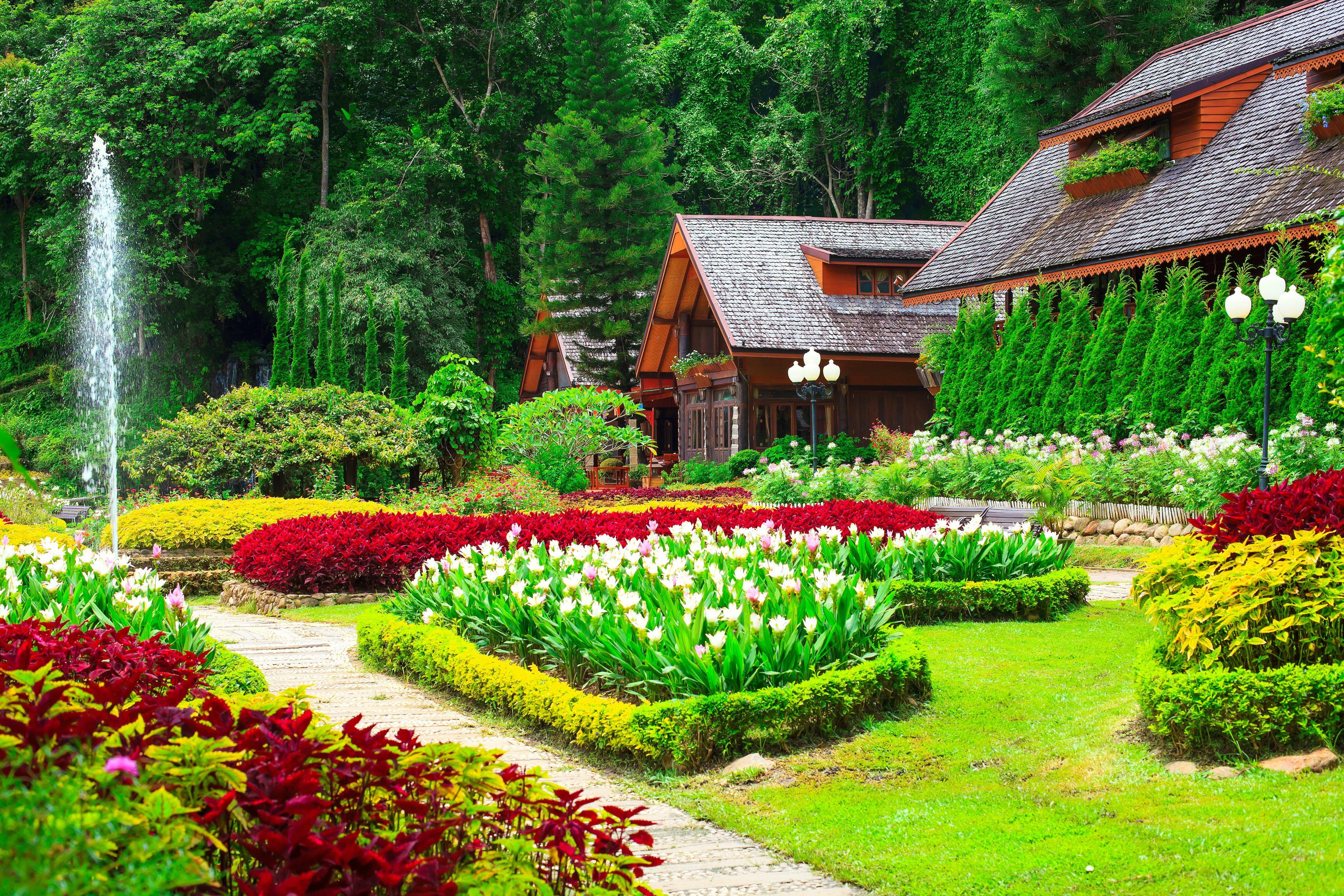 4500x3000 Gardens Tulips Houses Shrubs Grass Nature wallpaperx3000