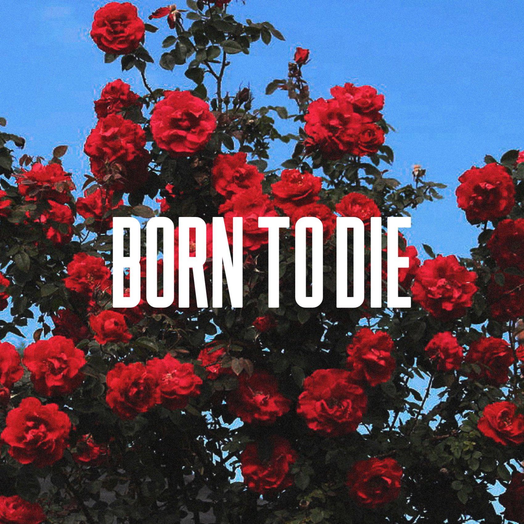 1700x1700 china palace del rey alternative album cover concept