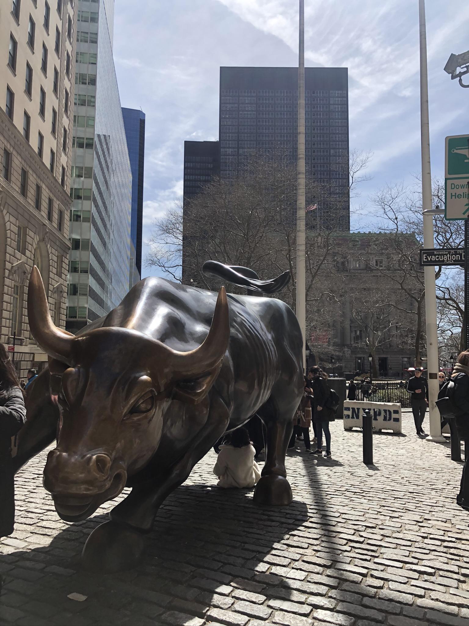1536x2048 Wallpaper New York City, Charging Bull, Statue, Bull, Science, Background Free Image