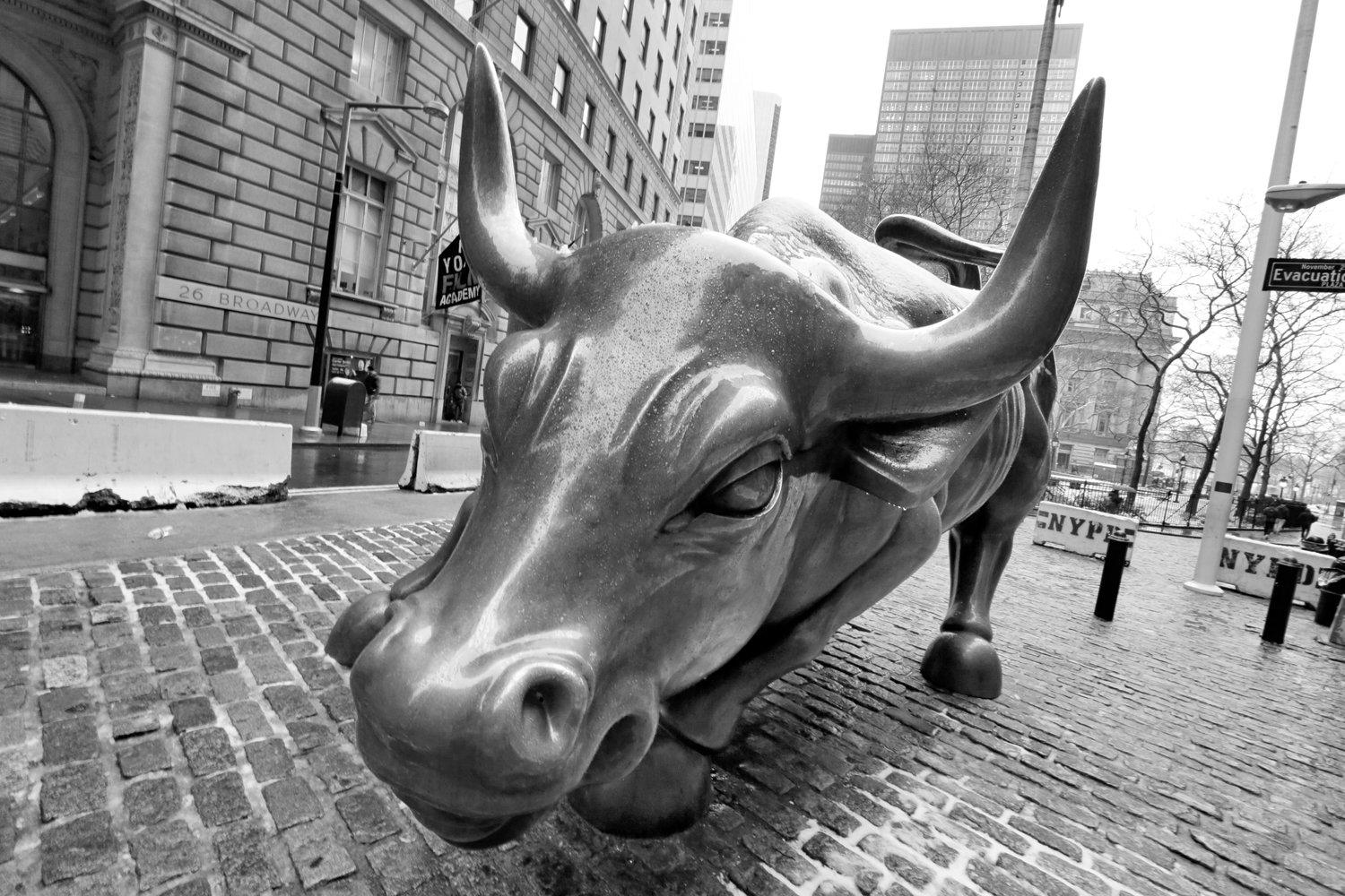 1500x1000 Mighty bull (market)