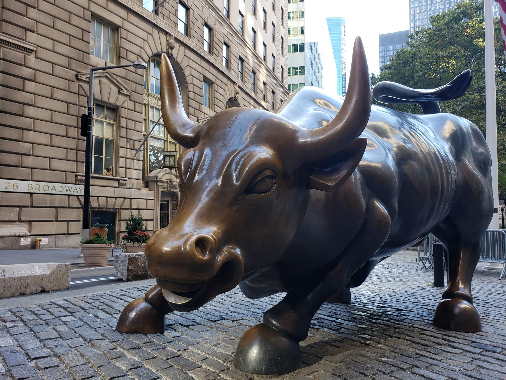 2048x1536 Descubriendo NewYork Bull, the famous Wall Street bull