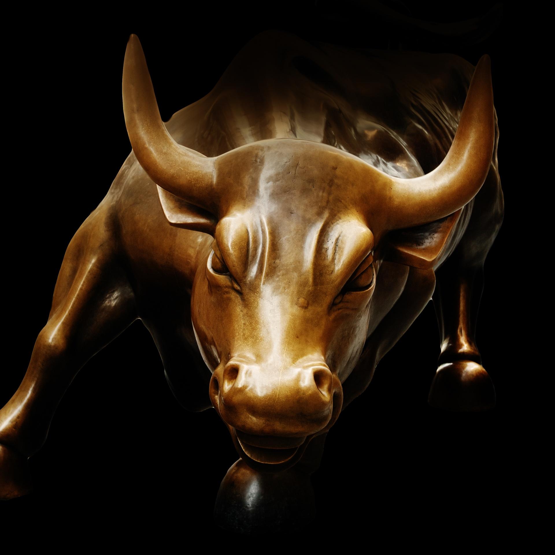 1920x1920 Art, bronze, bull, business, charging