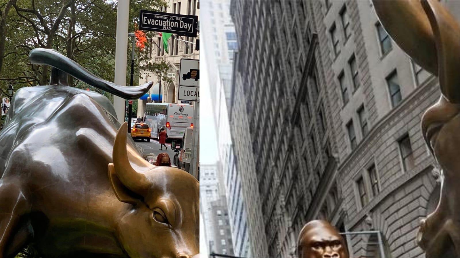 1600x900 How Bananas': Harambe's Statue Appears Opposite to Charging Bull Statue at Wall Street
