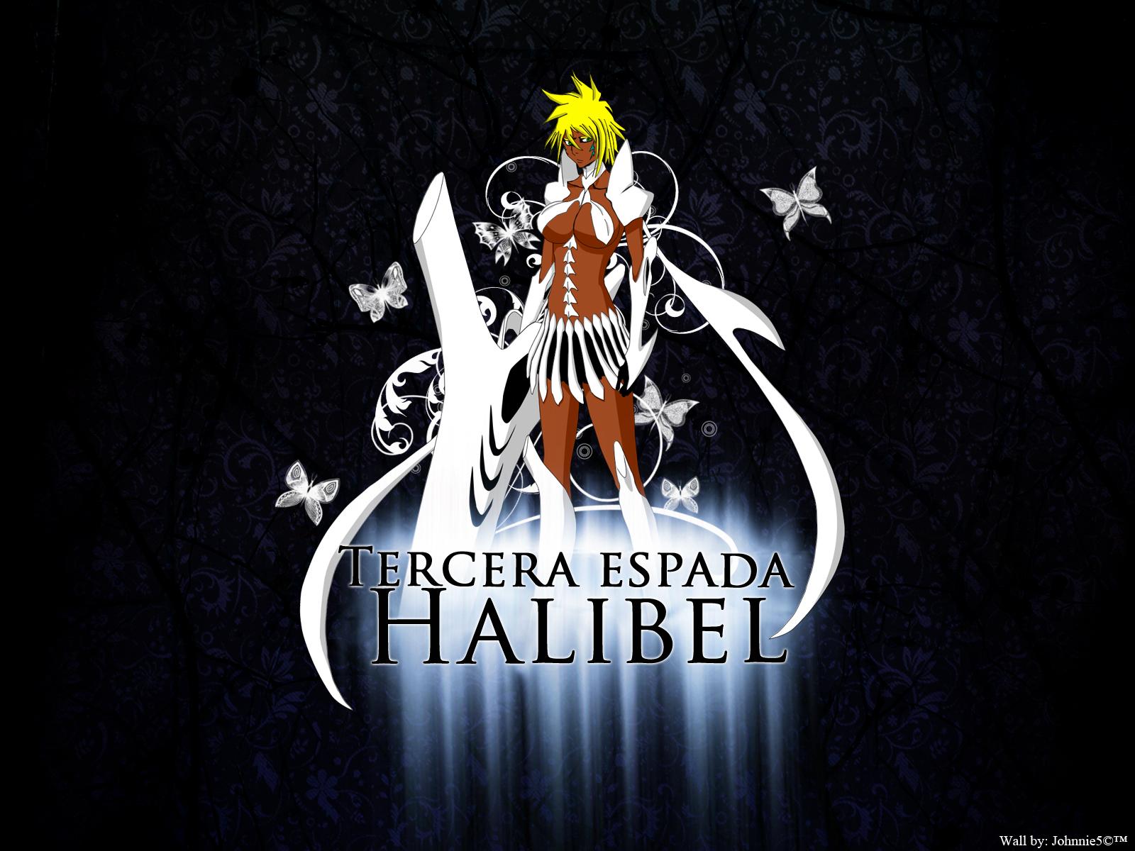 1600x1200 Tier Halibel HD Wallpaper and Background
