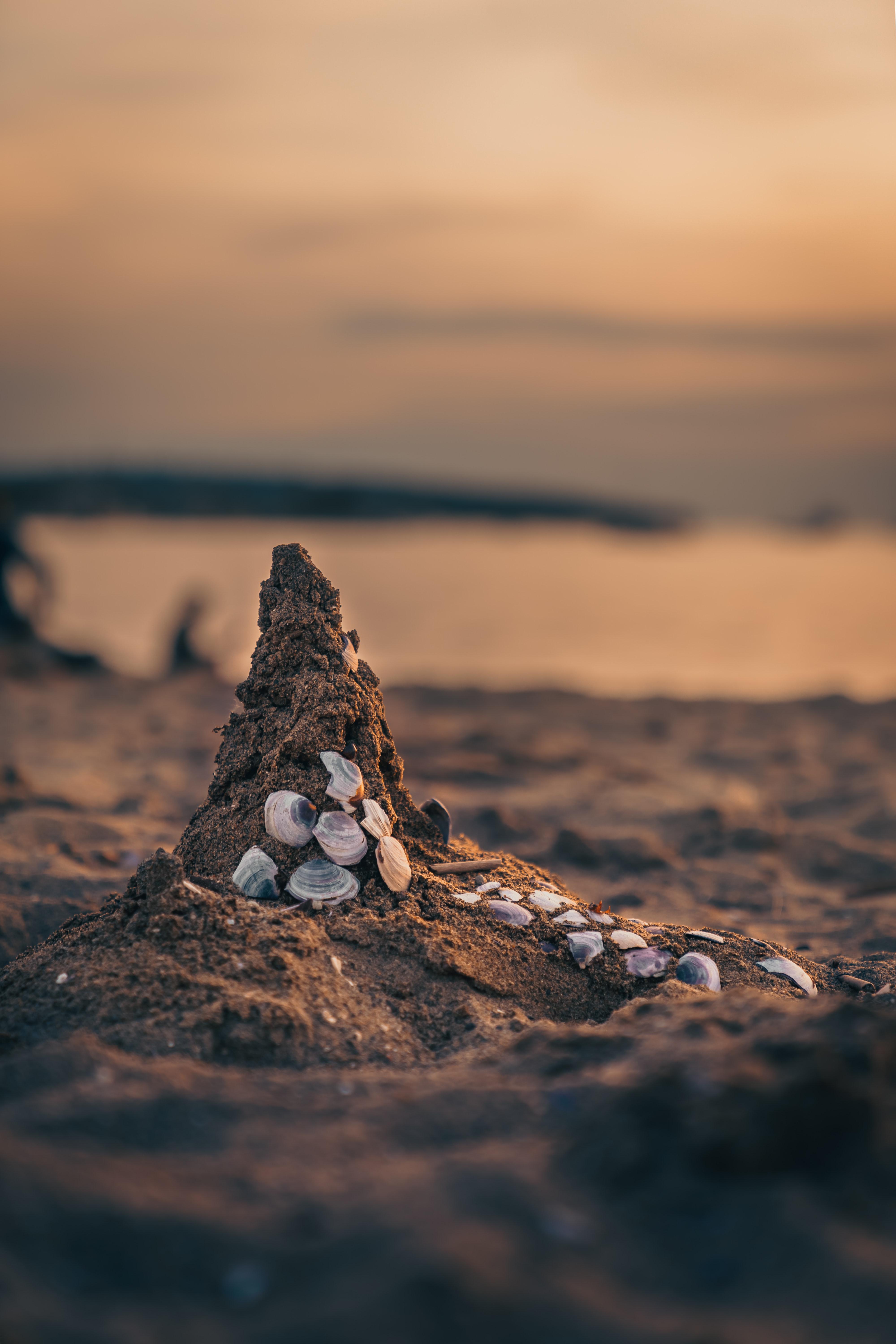 4000x6000 Sand Castle Photo, Download The BEST Free Sand Castle & HD Image