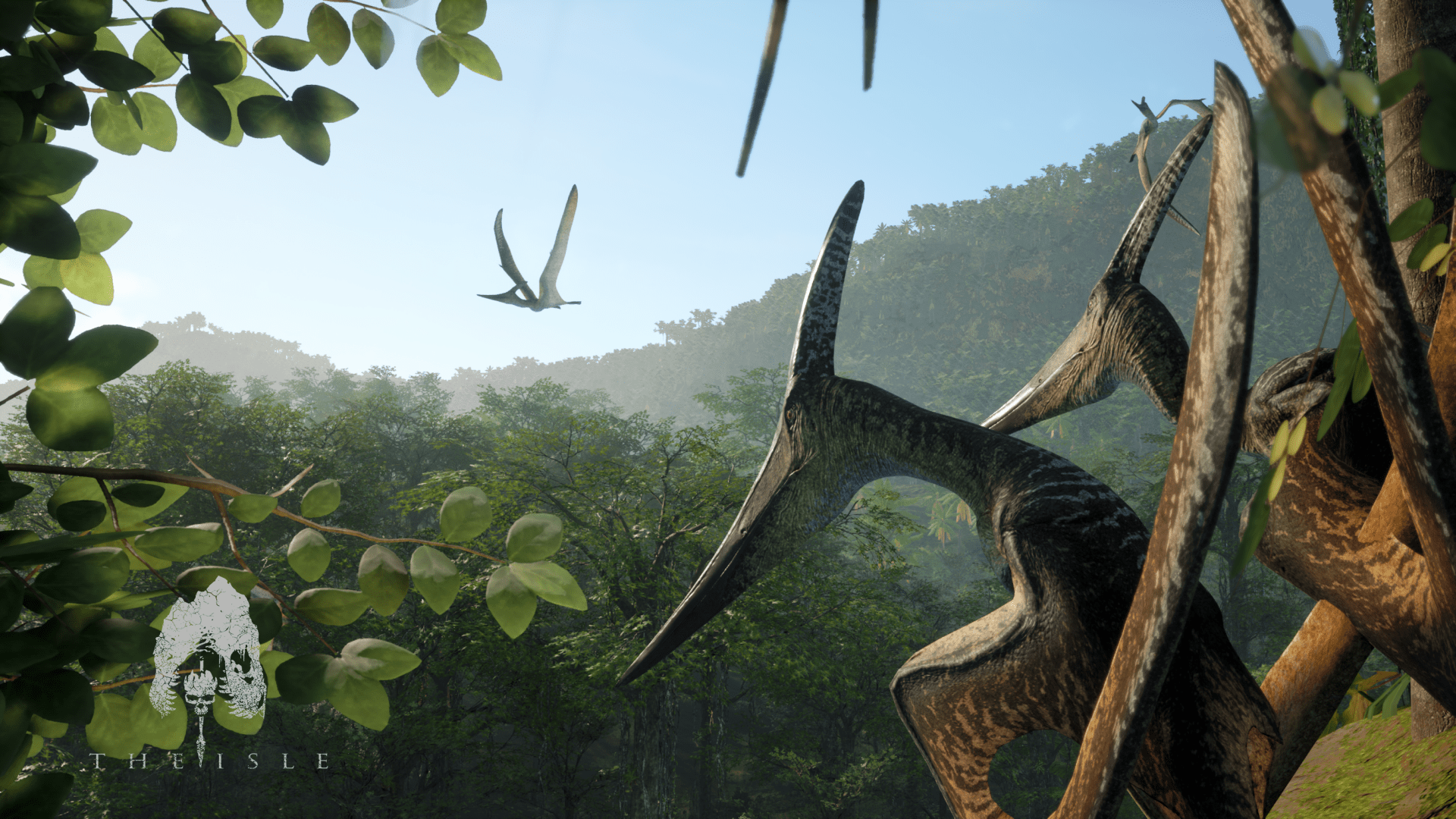 The Isle Wallpapers - Top Free The Isle Backgrounds - WallpaperAccess
