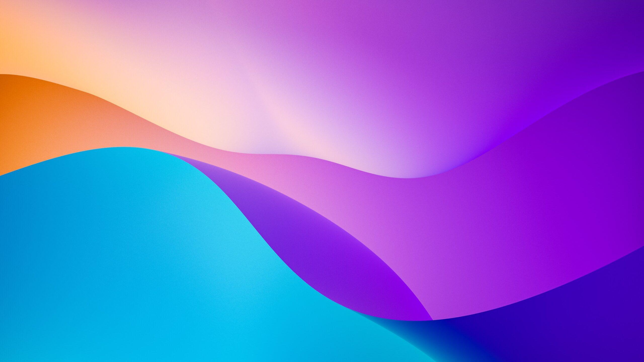 2560x1440 Best Windows 11 4k Wallpaper [ Ultra 4k ]