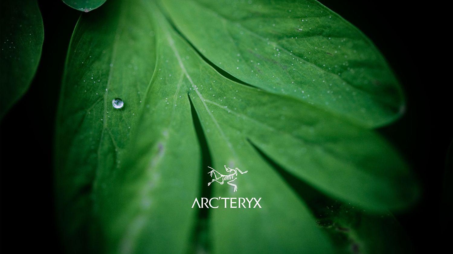 1500x844 Arc'teryx Wallpaper Arcteryx App_277645325603913. Arc' Teryx, Plant Leaves, Brand