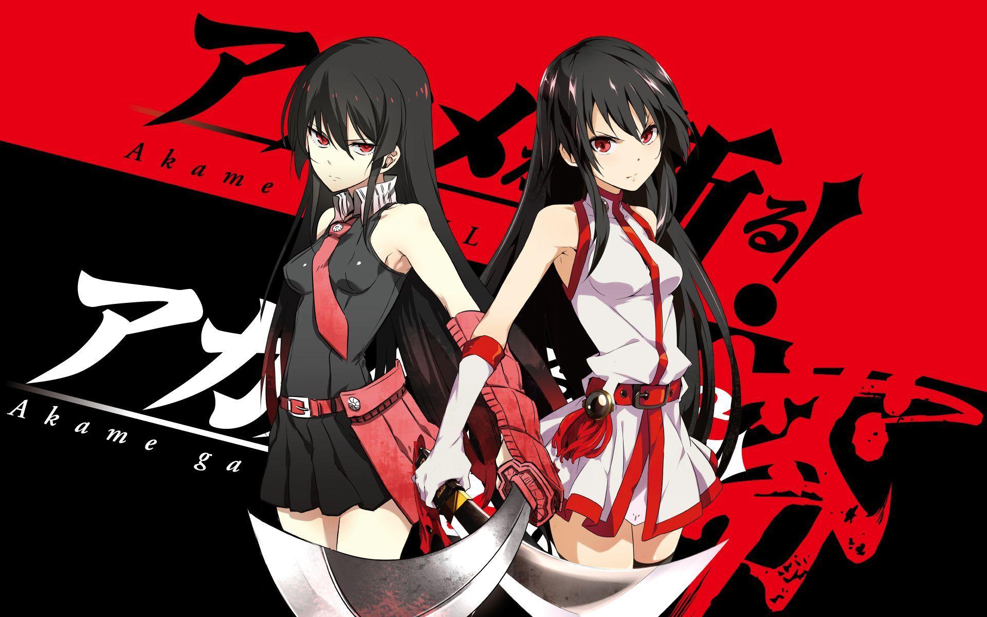 1920x1200 Akame Ga Kill! Wallpaper