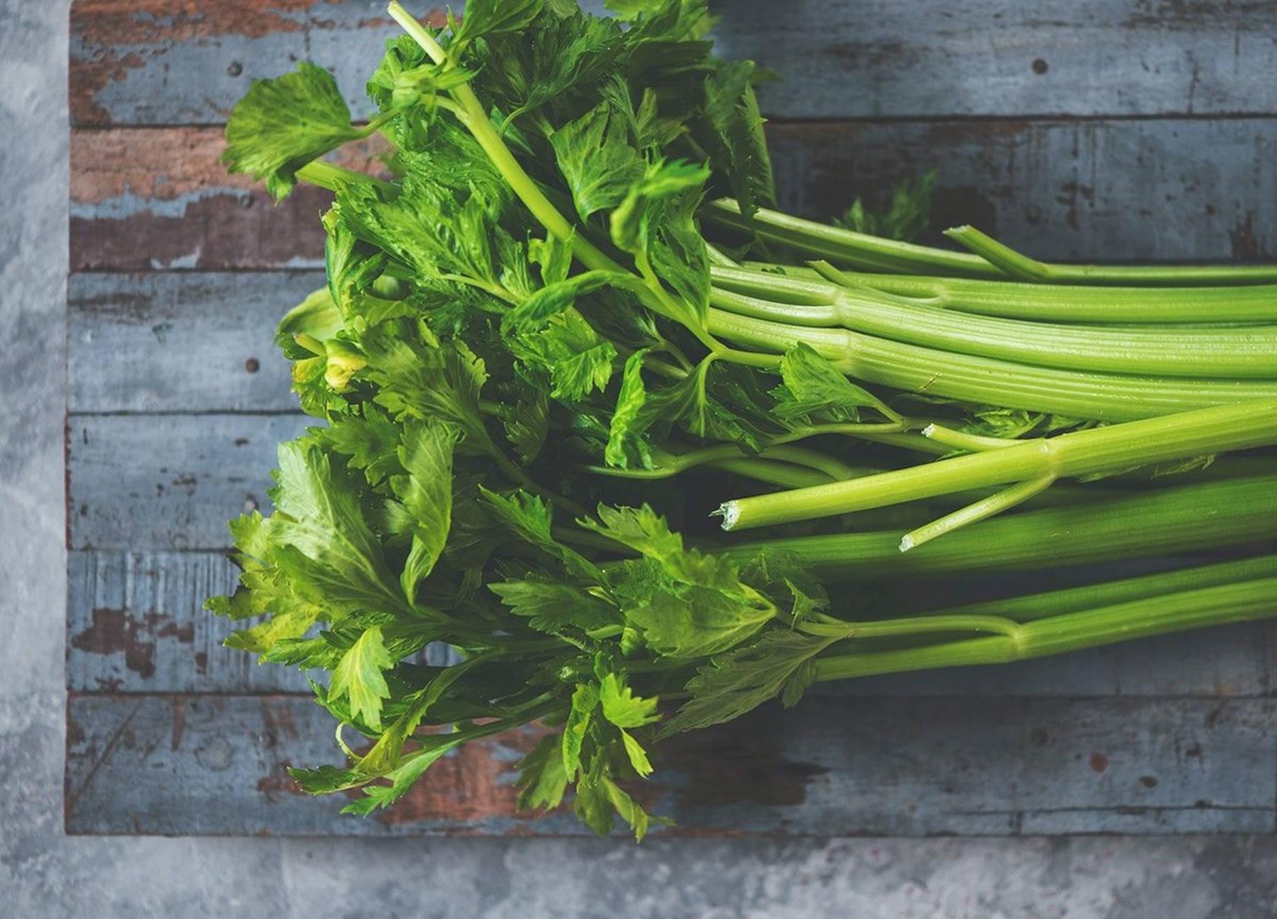 1852x1333 Celery Wallpaper