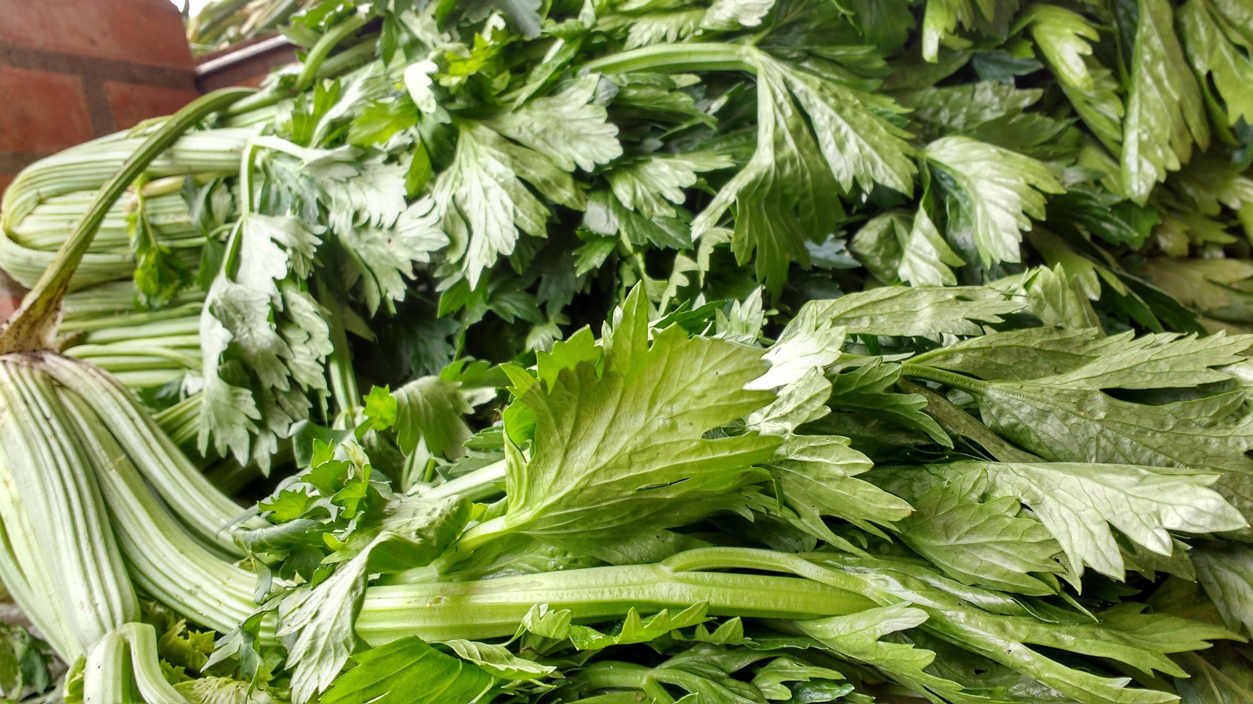 4160x2340 Wallpaper / Green, Celery, Plant, Branch, Wellbeing, Food, Lettuce, Green Leaves, Food And Drink, Nature, No People, Close Up, Vegetable, Market, Leaves, Healthy Eating Free Download