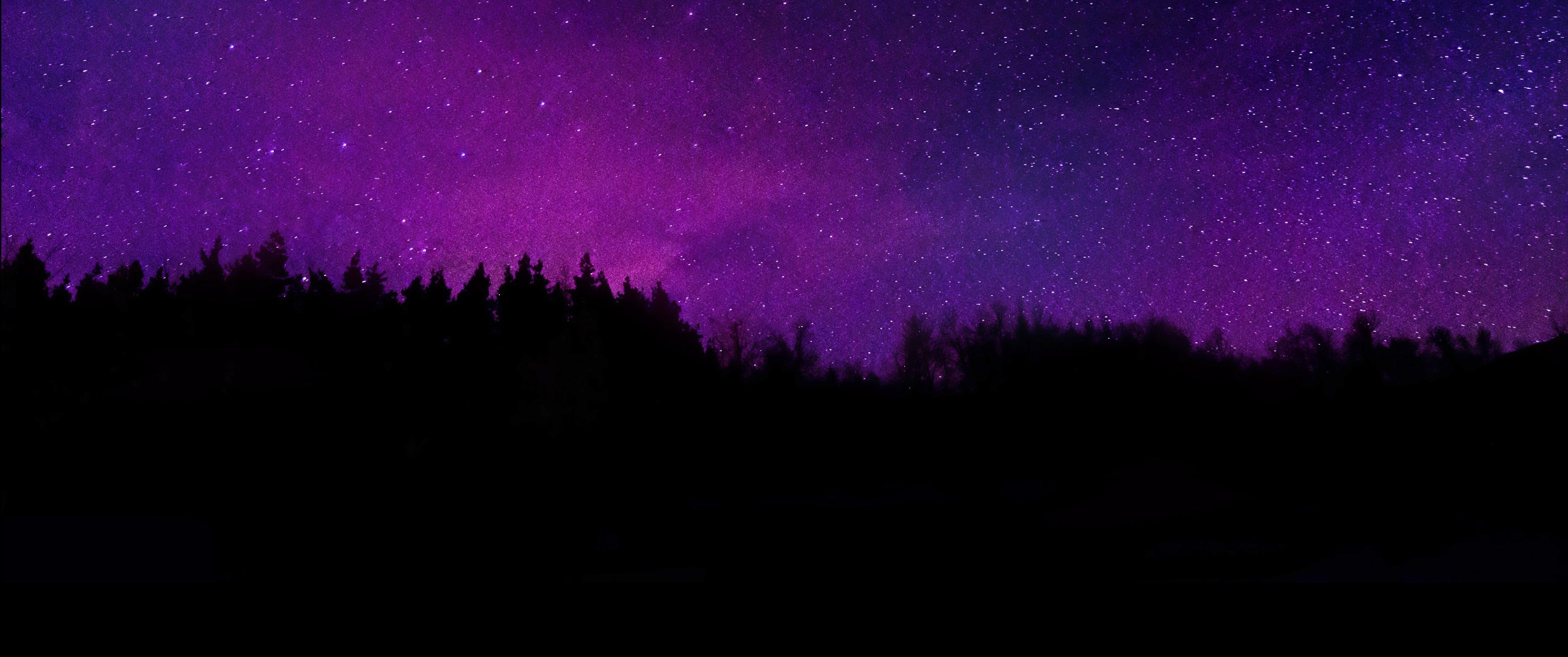 3440x1440 Trees Wallpaper 4K, Silhouette, Purple sky