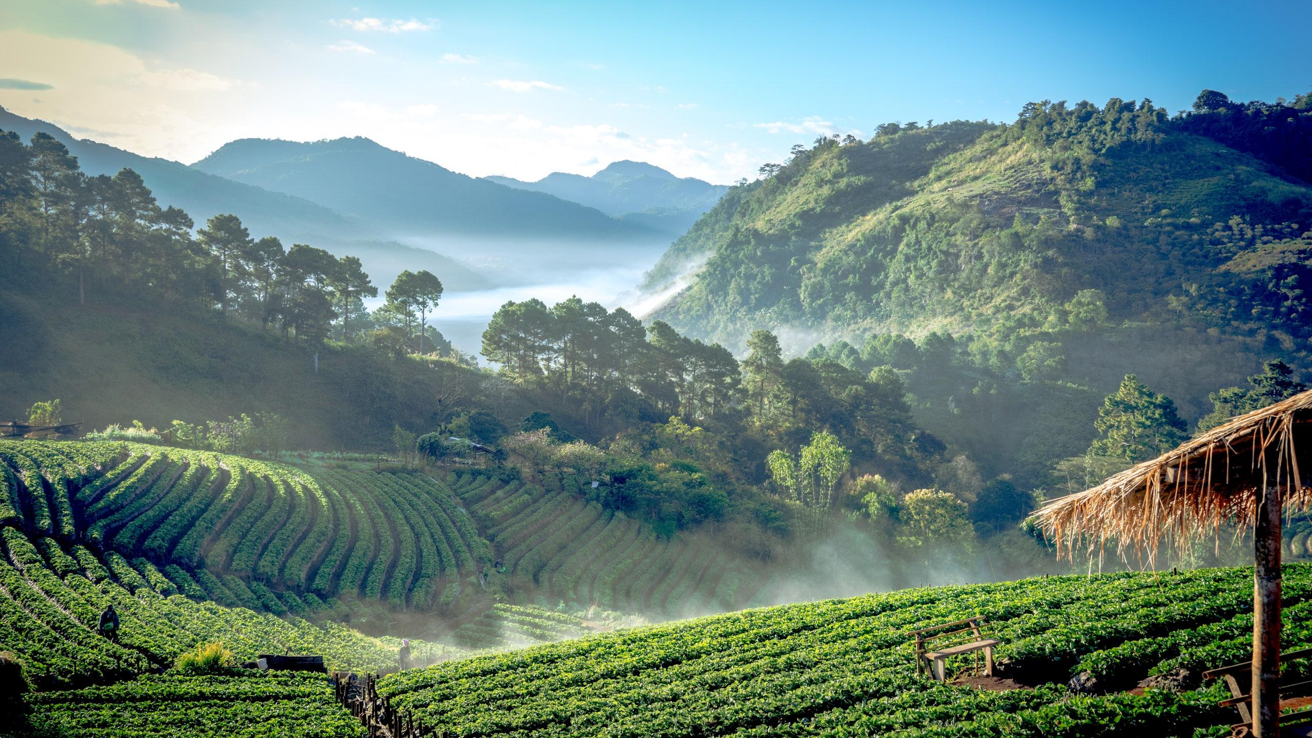 2560x1440 A Local's Guide to Chiang Mai, Thailand. Condé Nast Traveler