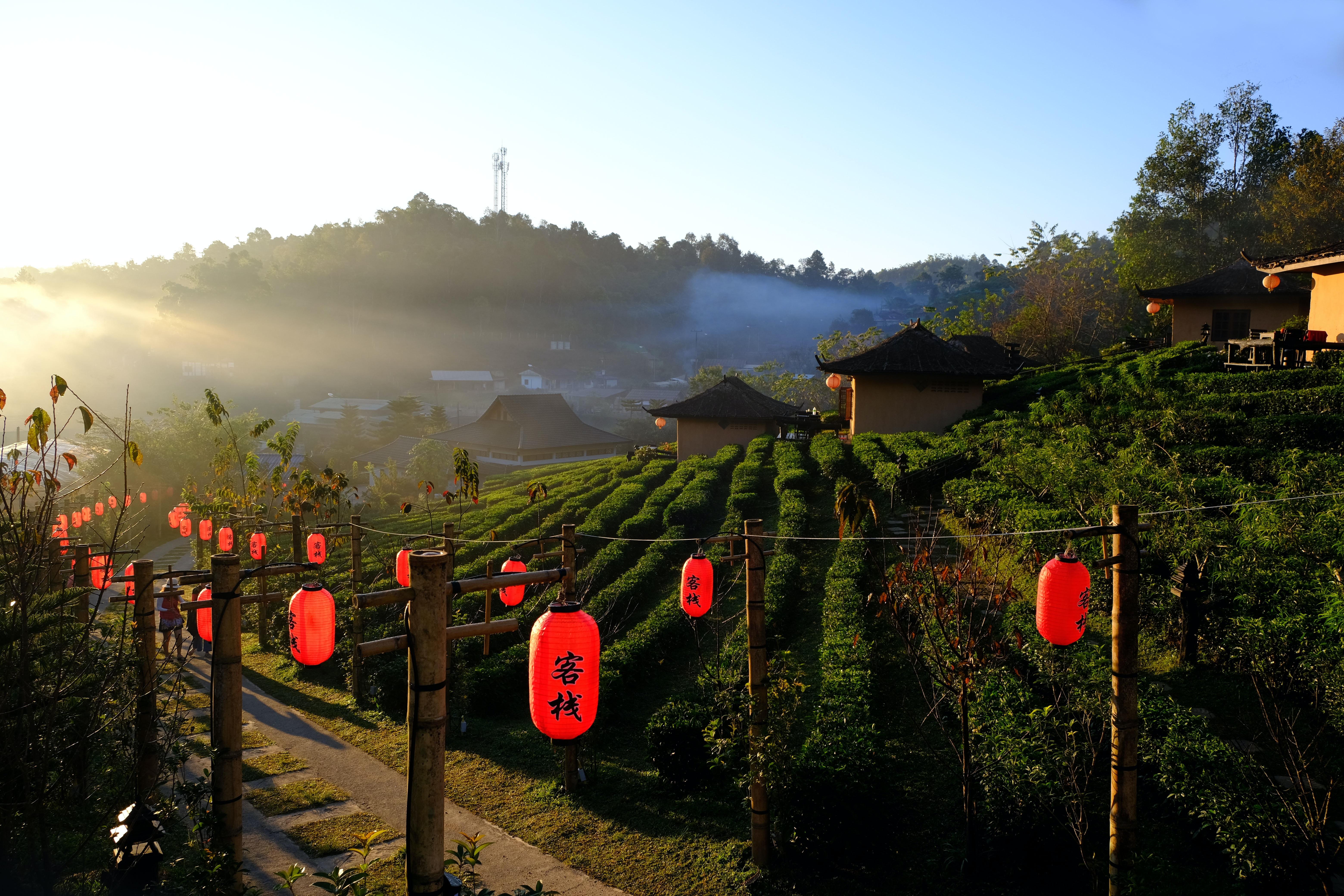 6240x4160 Chiang Mai Photo, Download The BEST Free Chiang Mai & HD Image