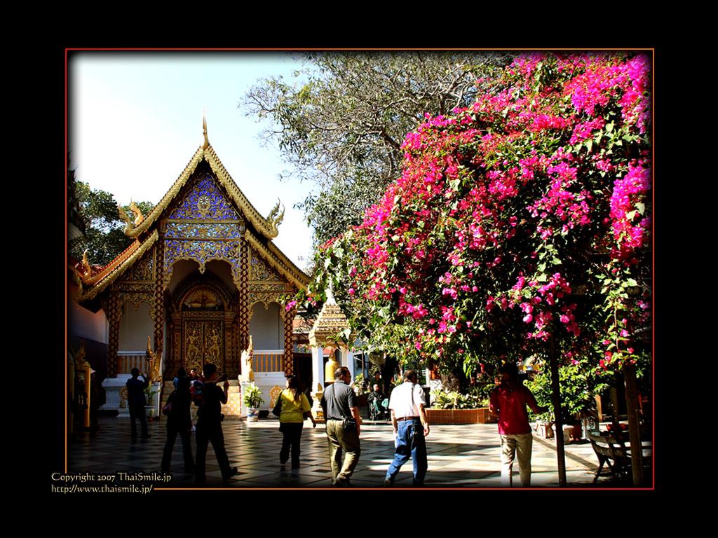 1024x768 Chiang Mai Wallpaper