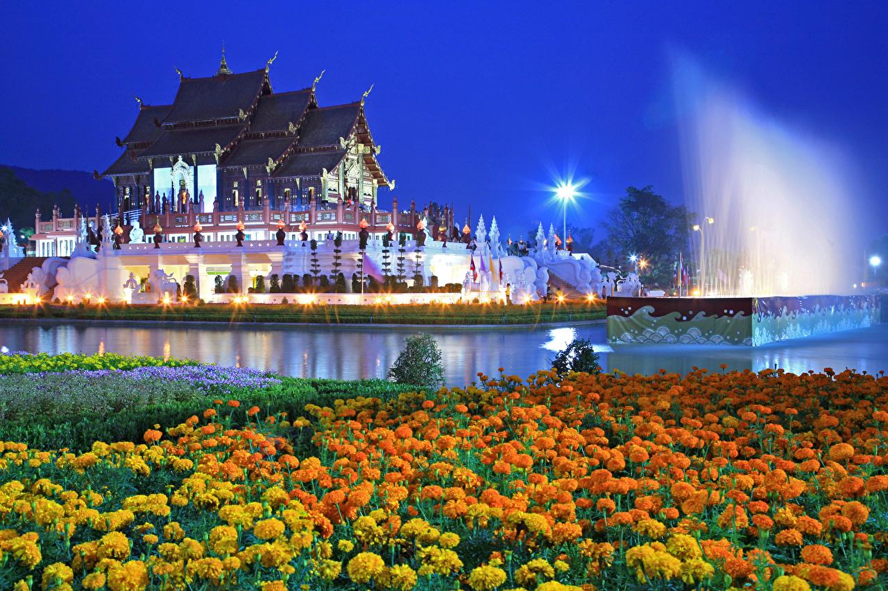 1280x853 image Thailand Royal Park Rajapruek (Chiang Mai) Pond flower