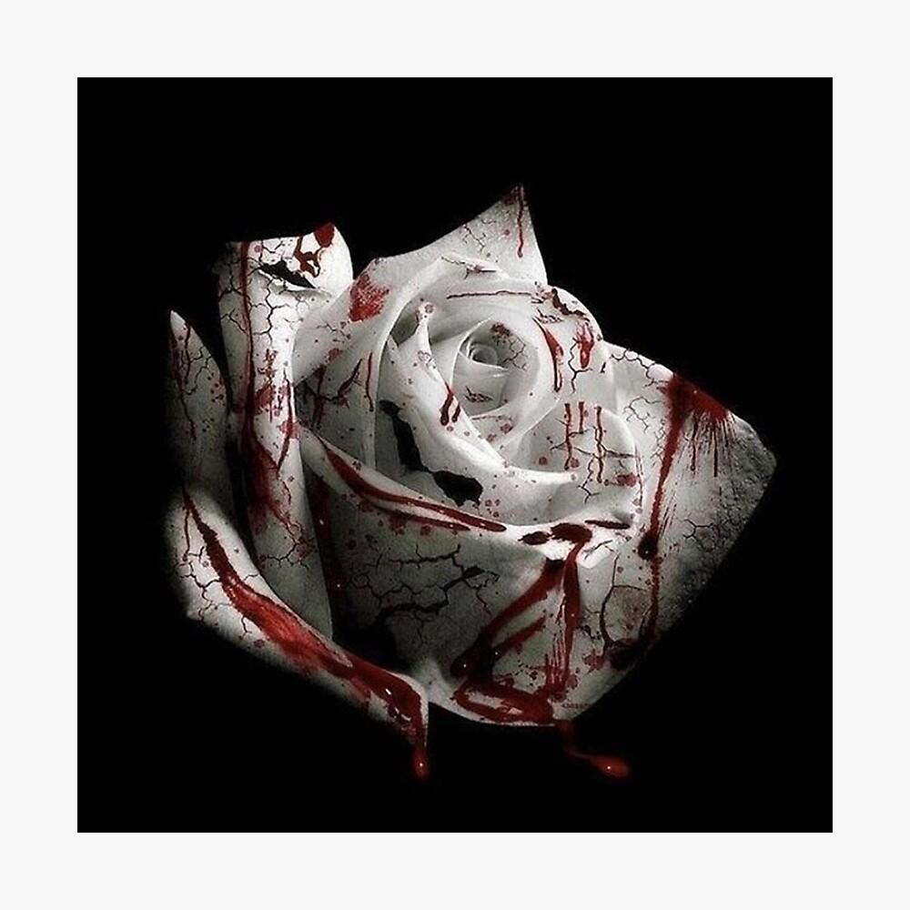 1000x1000 Romantic Homicide Wallpaper