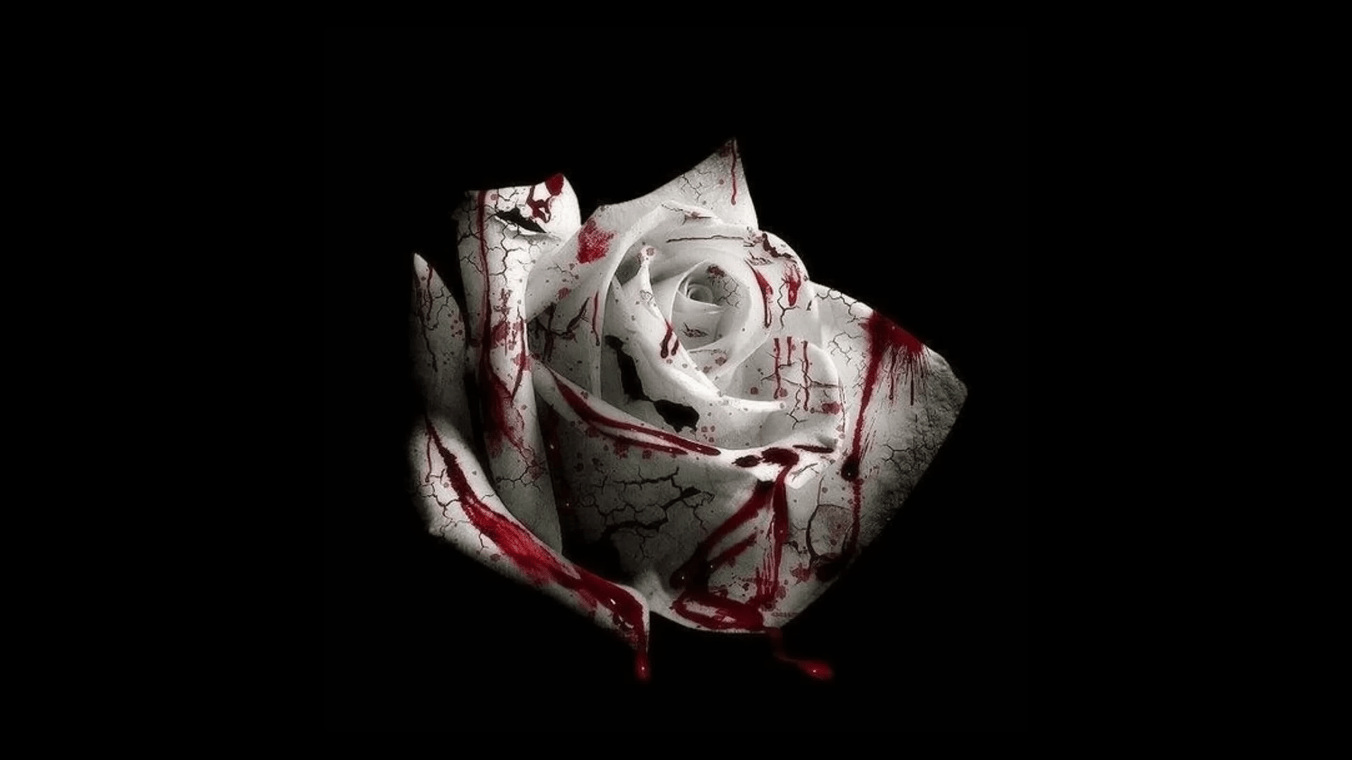 1920x1079 Does anyone have the desktop wallpaper for the cover for romantic homicide. Like the flower in the center and all around is just pure black. 1920x1080