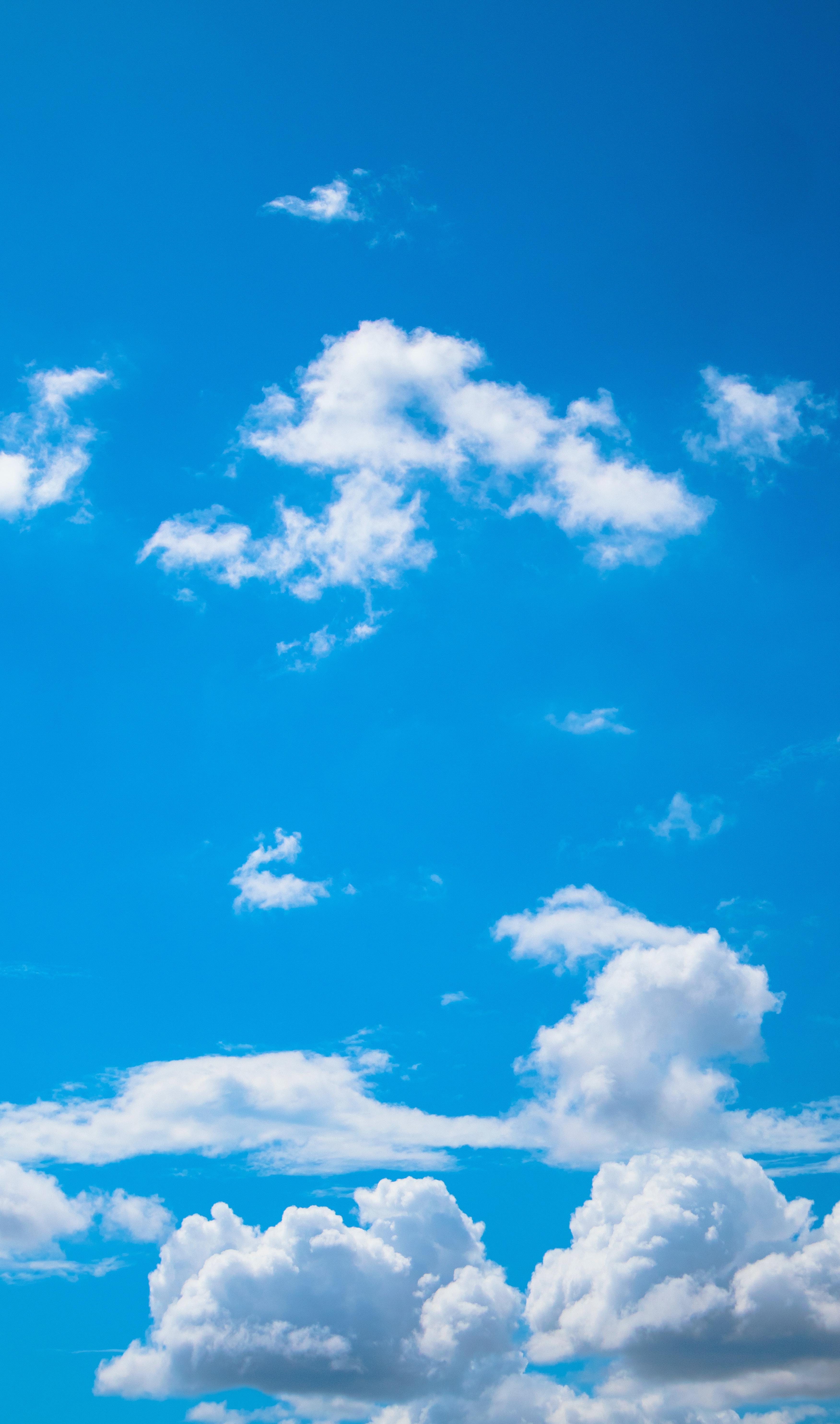 3503x5936 White Clouds and Blue Sky · Free