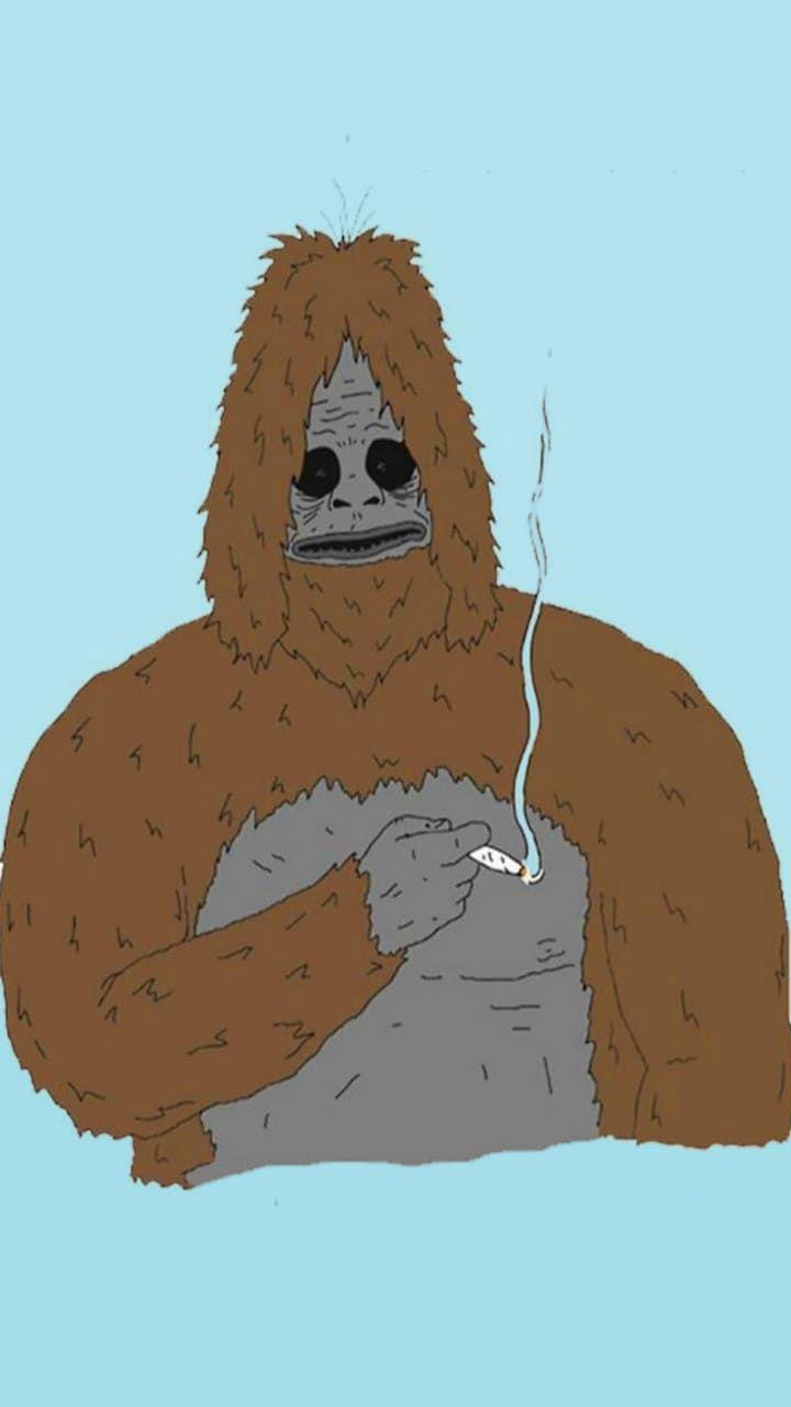 Sassy The Sasquatch Wallpapers Top Free Sassy The Sasquatch Sassy The Sasquatch Wallpapers Top Free Sassy The Sasquatch