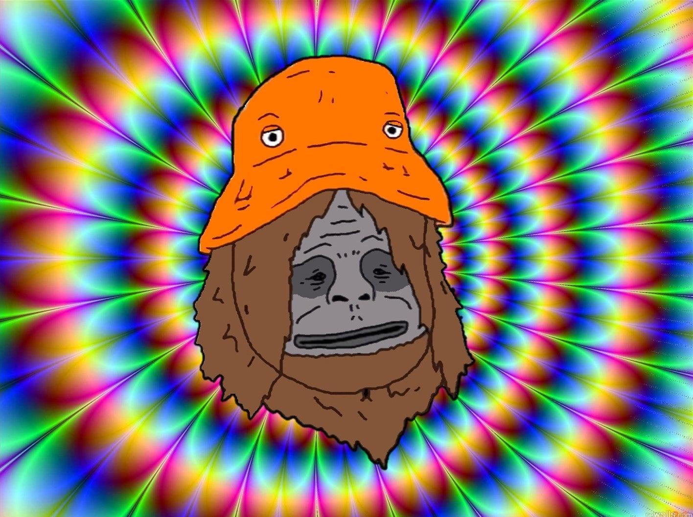 Sassy The Sasquatch Wallpapers Top Free Sassy The Sasquatch Sassy The Sasquatch Wallpapers Top Free Sassy The Sasquatch