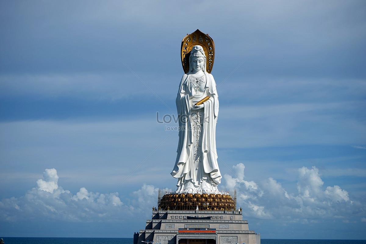 1200x800 Guanyin Bamboo Image, HD Picture For Free Vectors Download