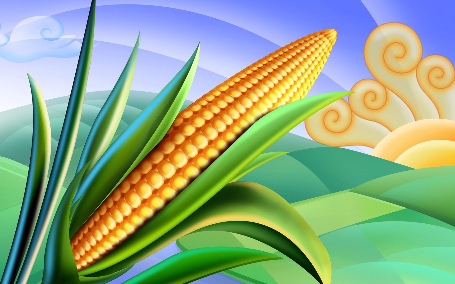 1920x1200 Psd food illustrations 3 corn clipart corn picture wallpaper