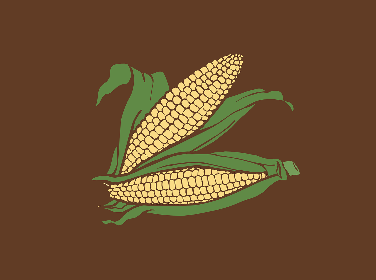 1280x955 Free Maize & Corn Image