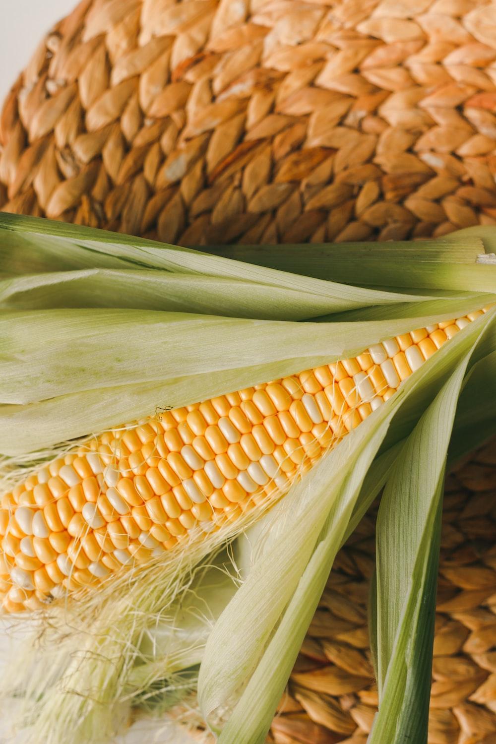 1000x1500 Corn Picture [HD]. Download Free Image