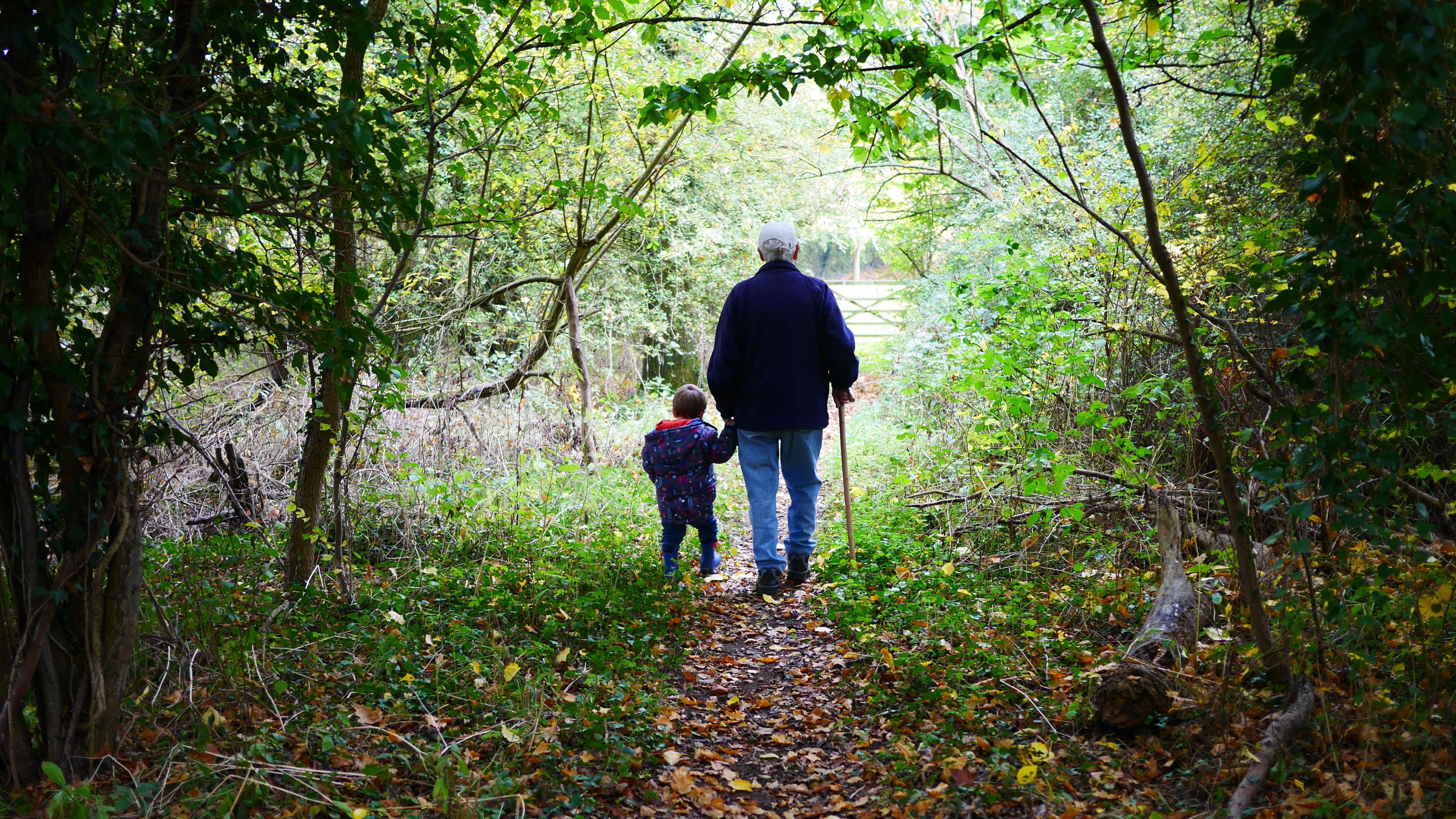 4592x2584 Wallpaper / grandparents, 4K, plant, full length, lifestyles, two people, leisure activity, man, daughter, woods, outdoors, togetherness, dirty, walking, grandson free download