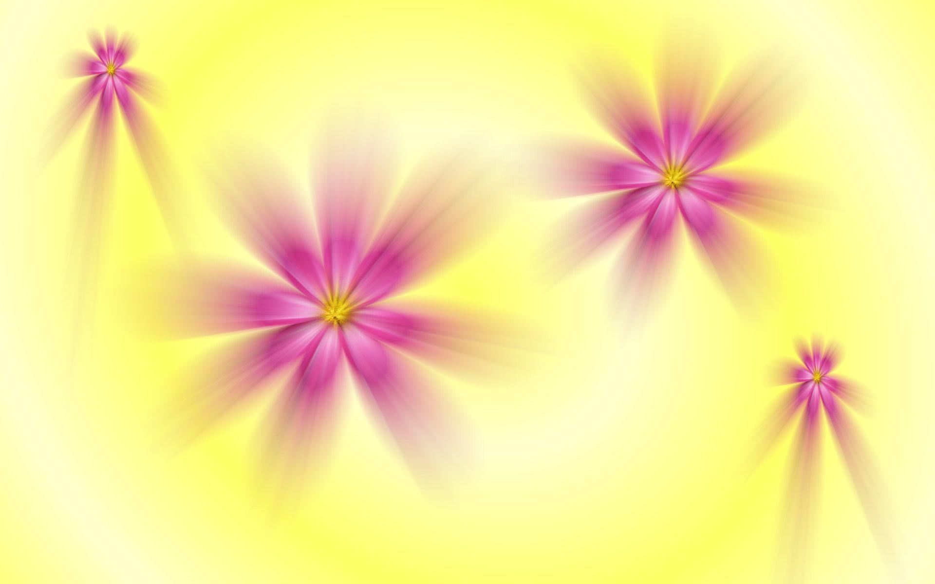 Light Flower Wallpapers - Top Free Light Flower Backgrounds - WallpaperAccess