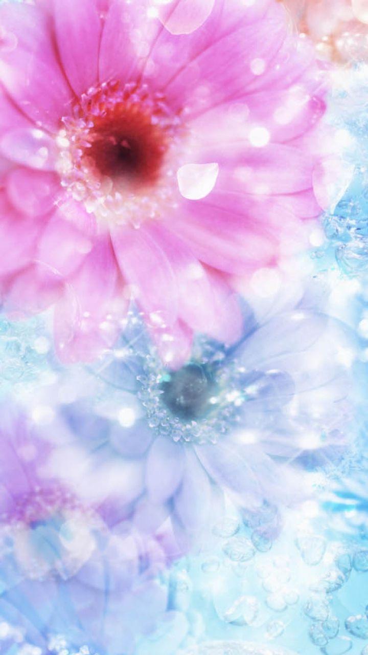 Light Flower Wallpapers - Top Free Light Flower Backgrounds ...