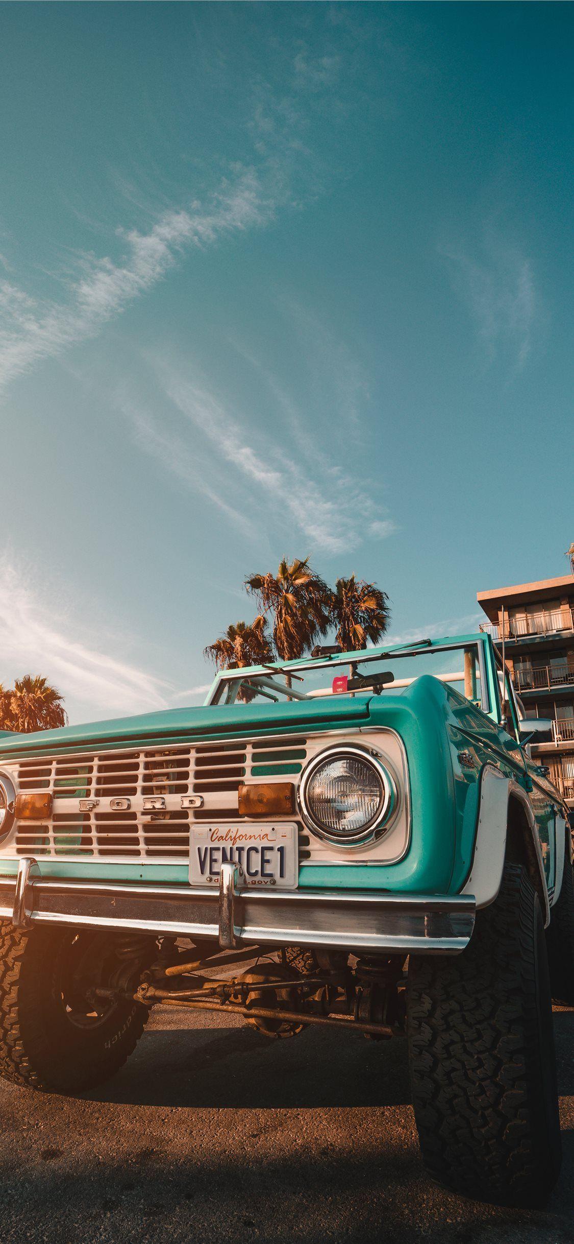 1125x2436 Venice the Menace iPhone 11 Wallpaper Free Download