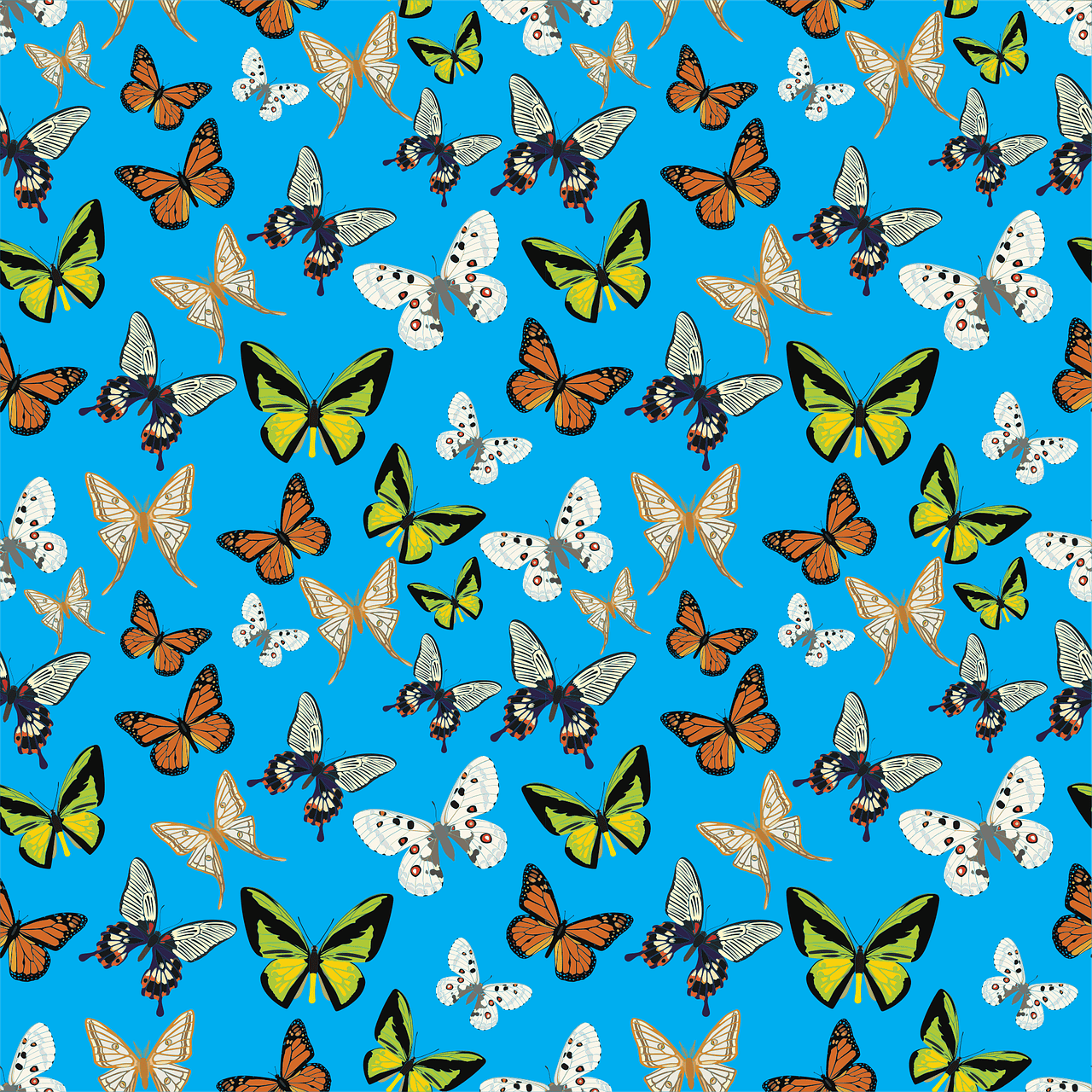 1280x1280 Download Butterflies Pattern Background Royalty Free Vector Graphic